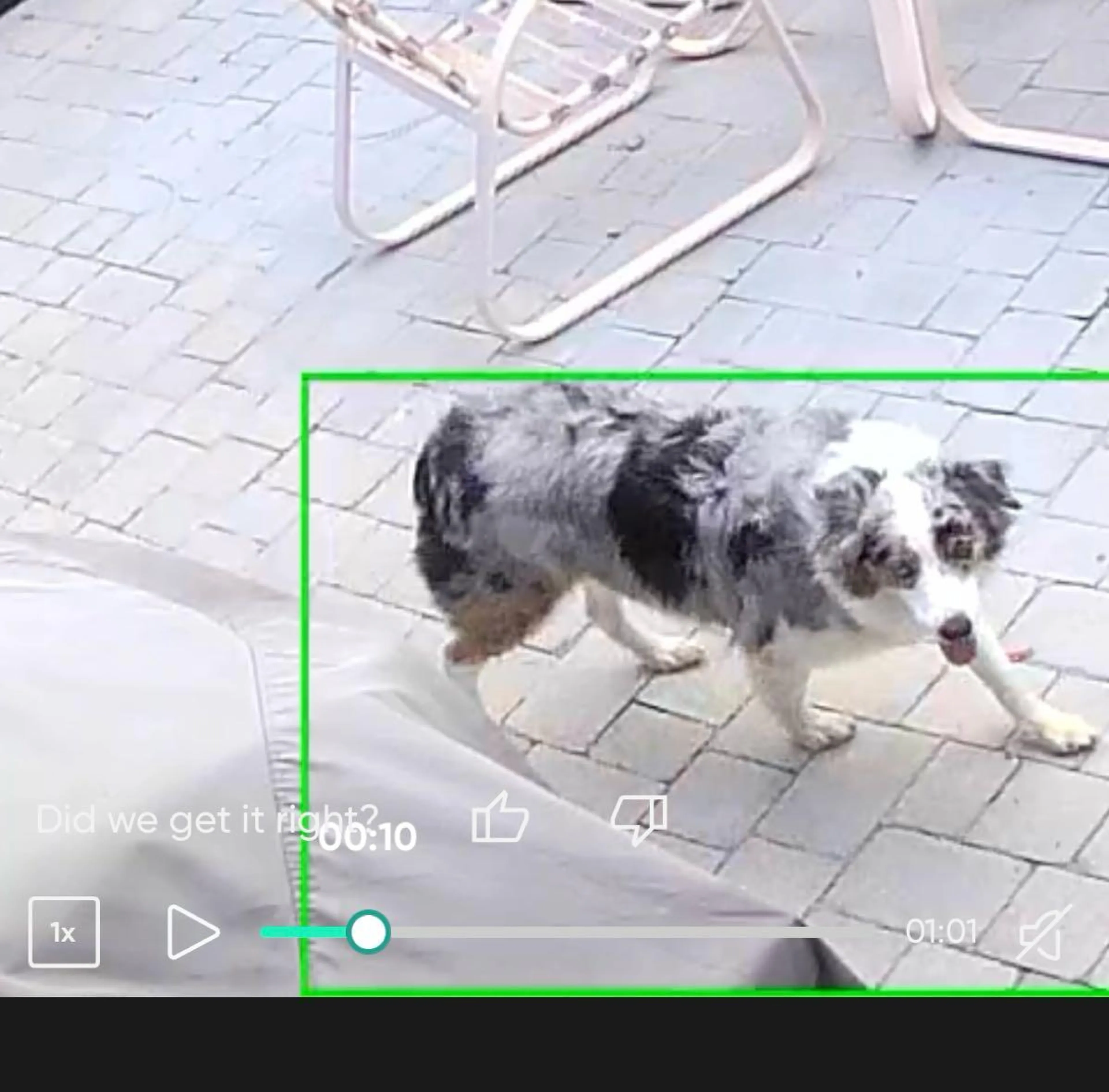cdn image