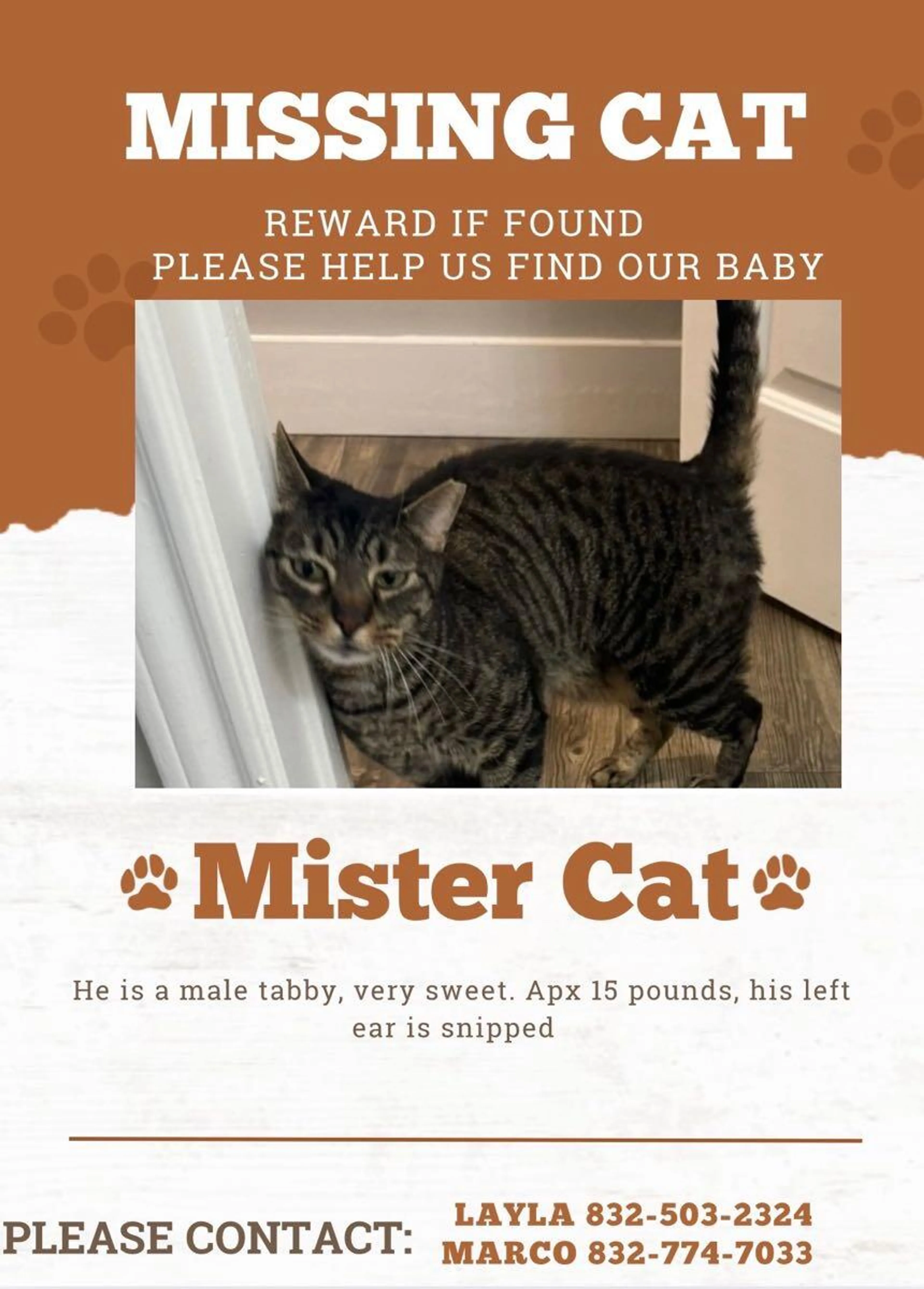 Lost pet