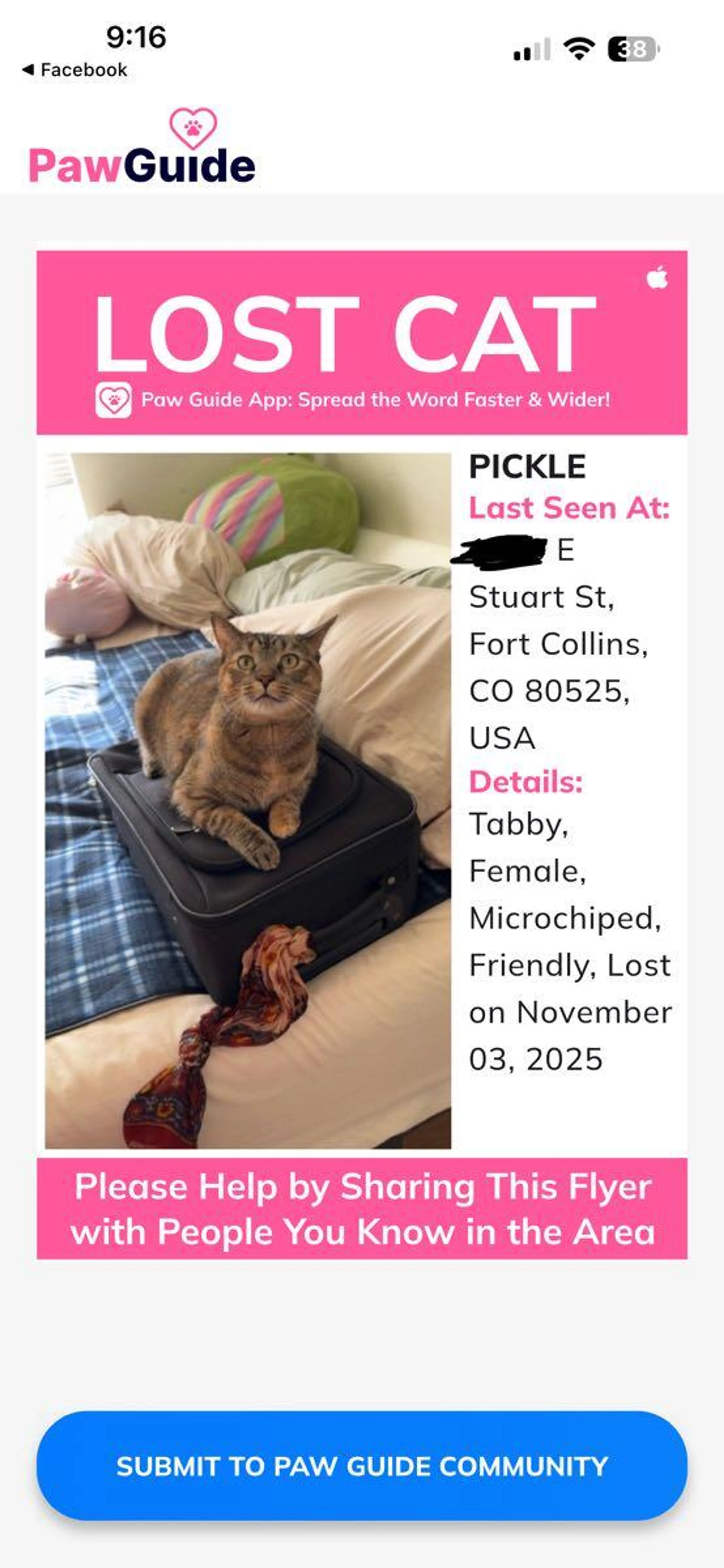 Lost pet