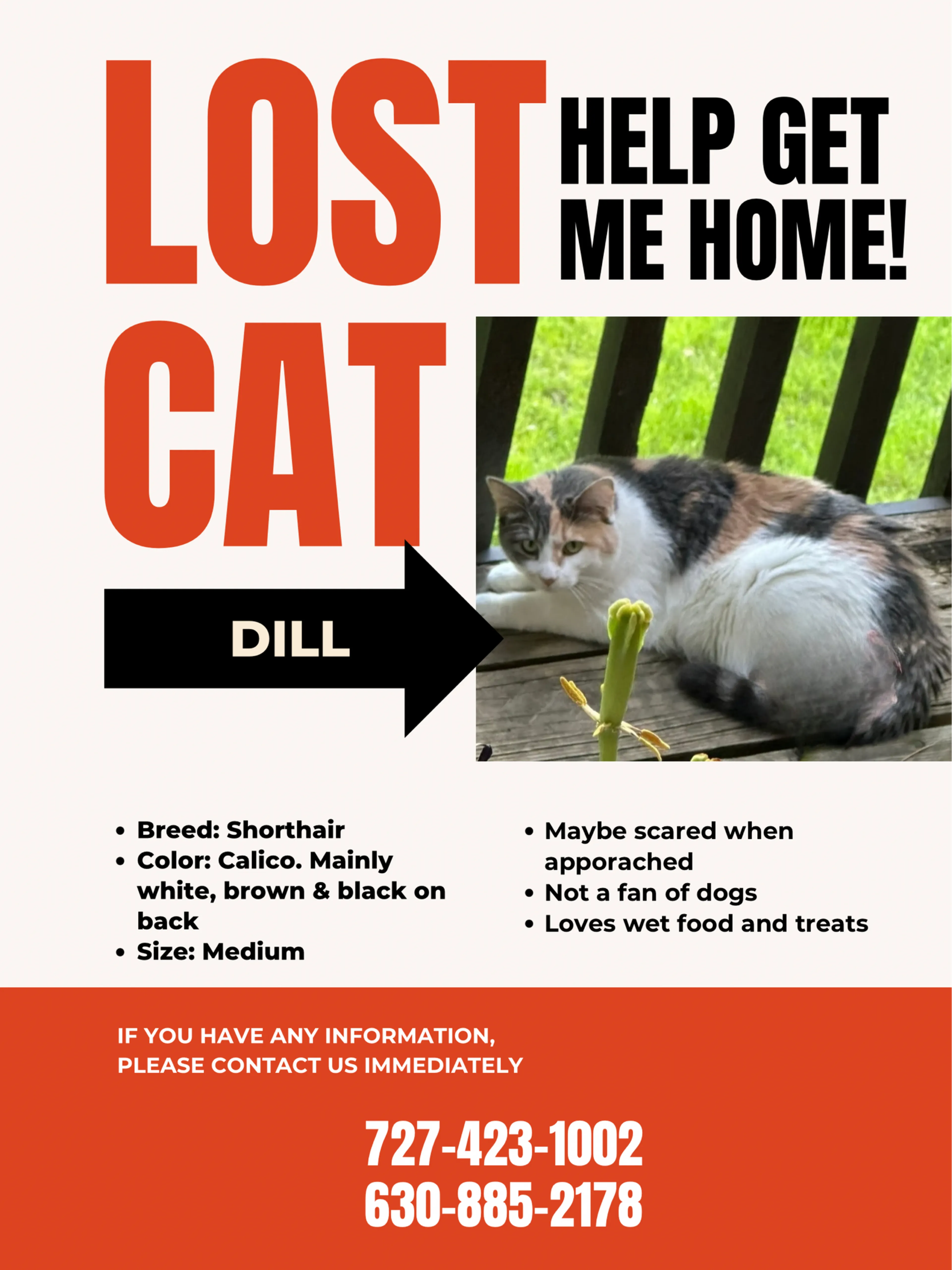 Lost pet