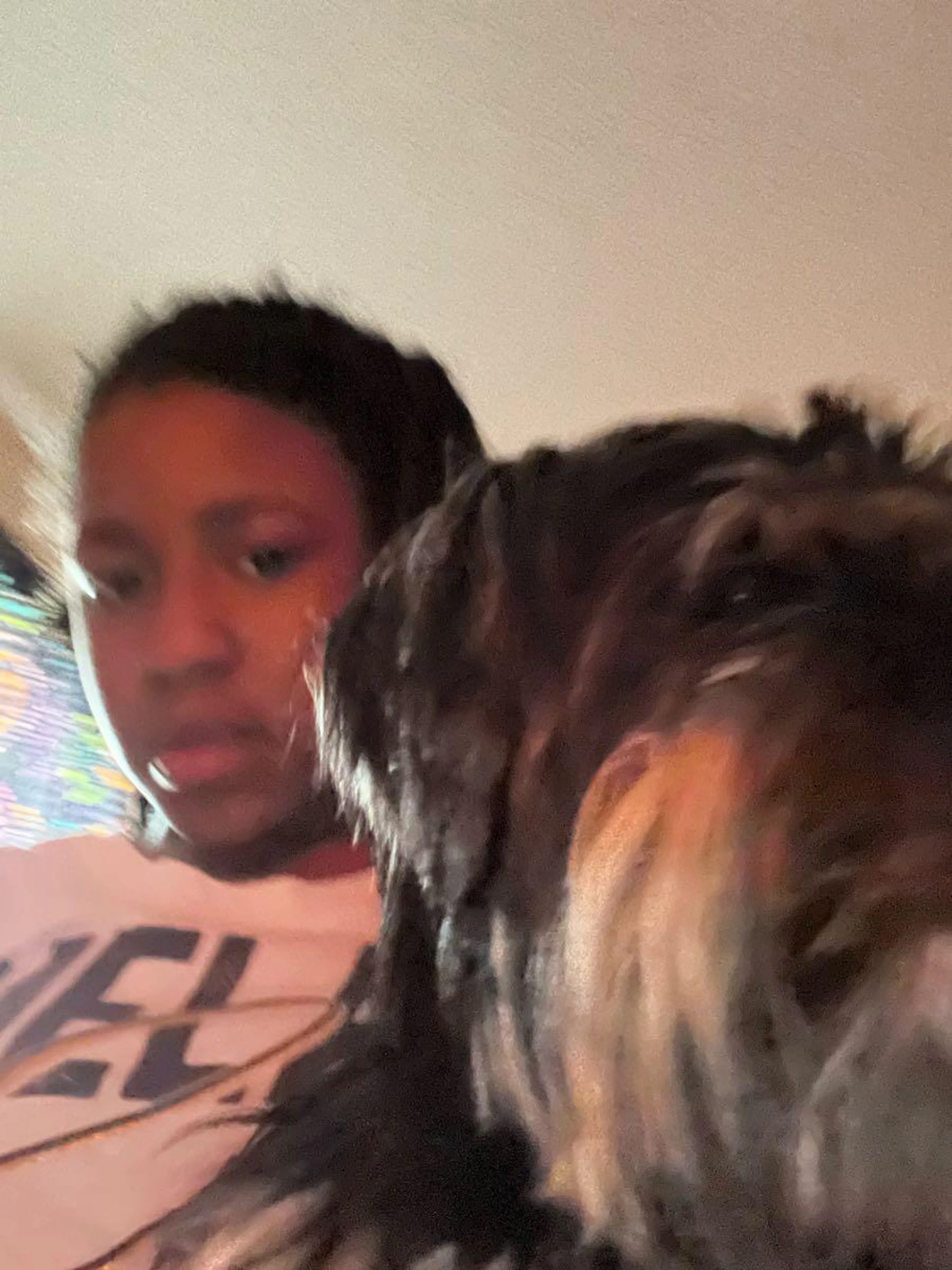 Lost pet