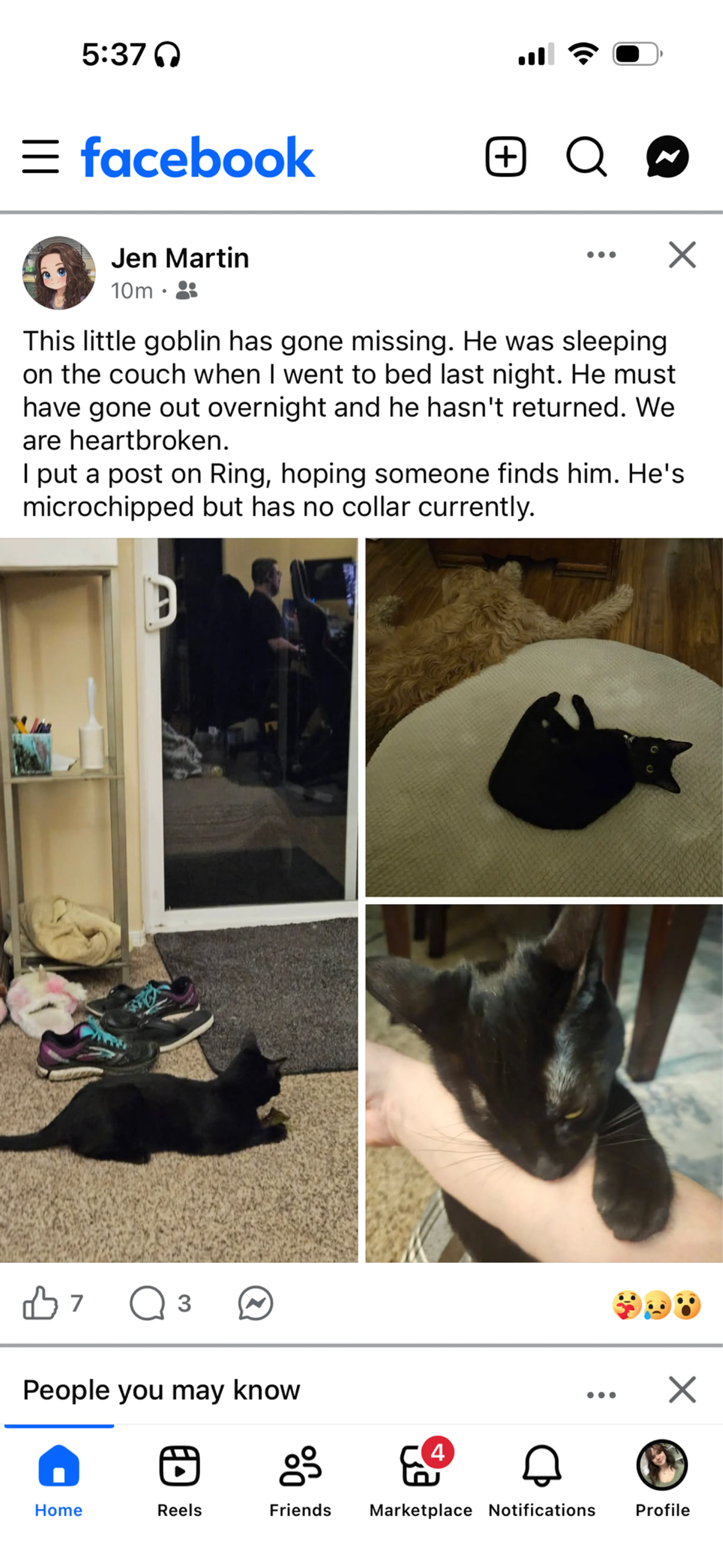 Lost pet