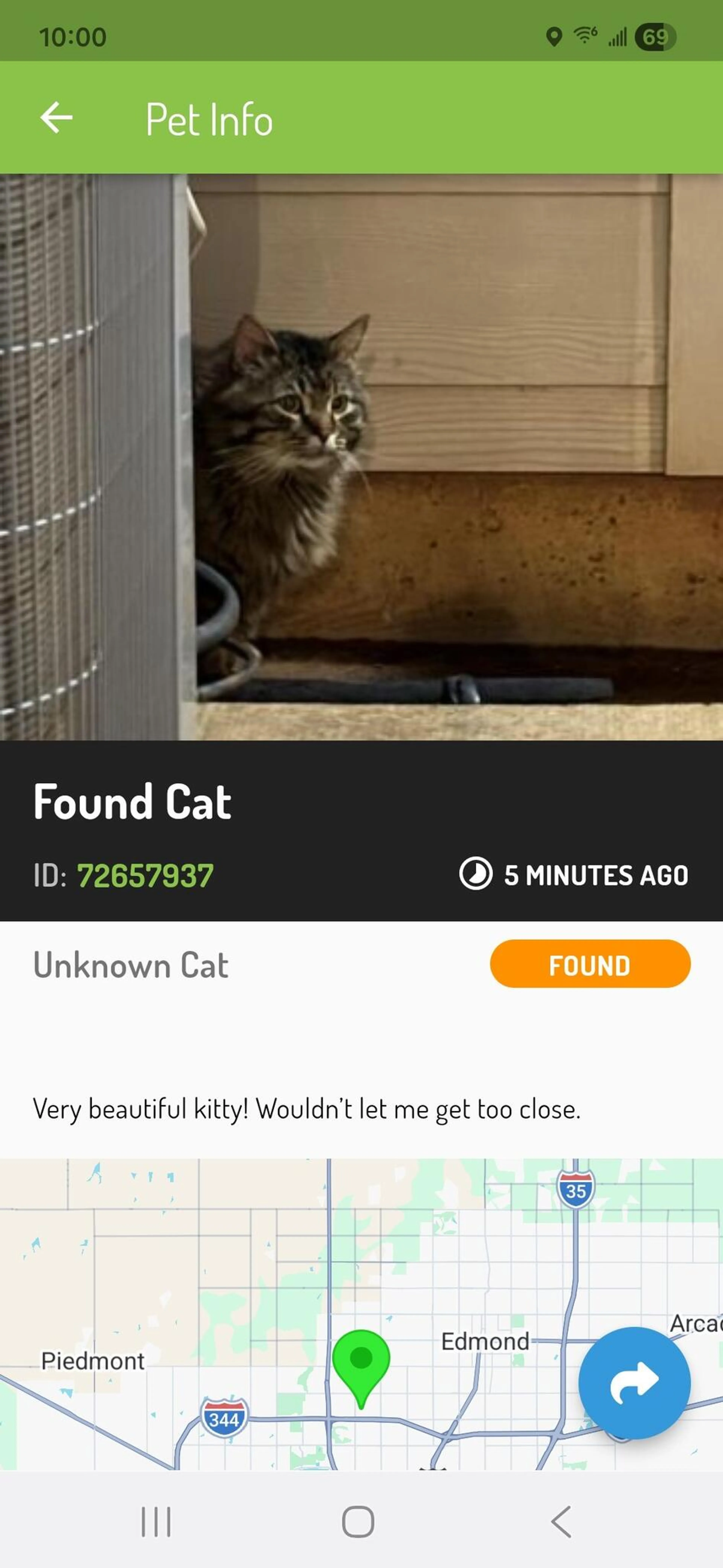 Found pet