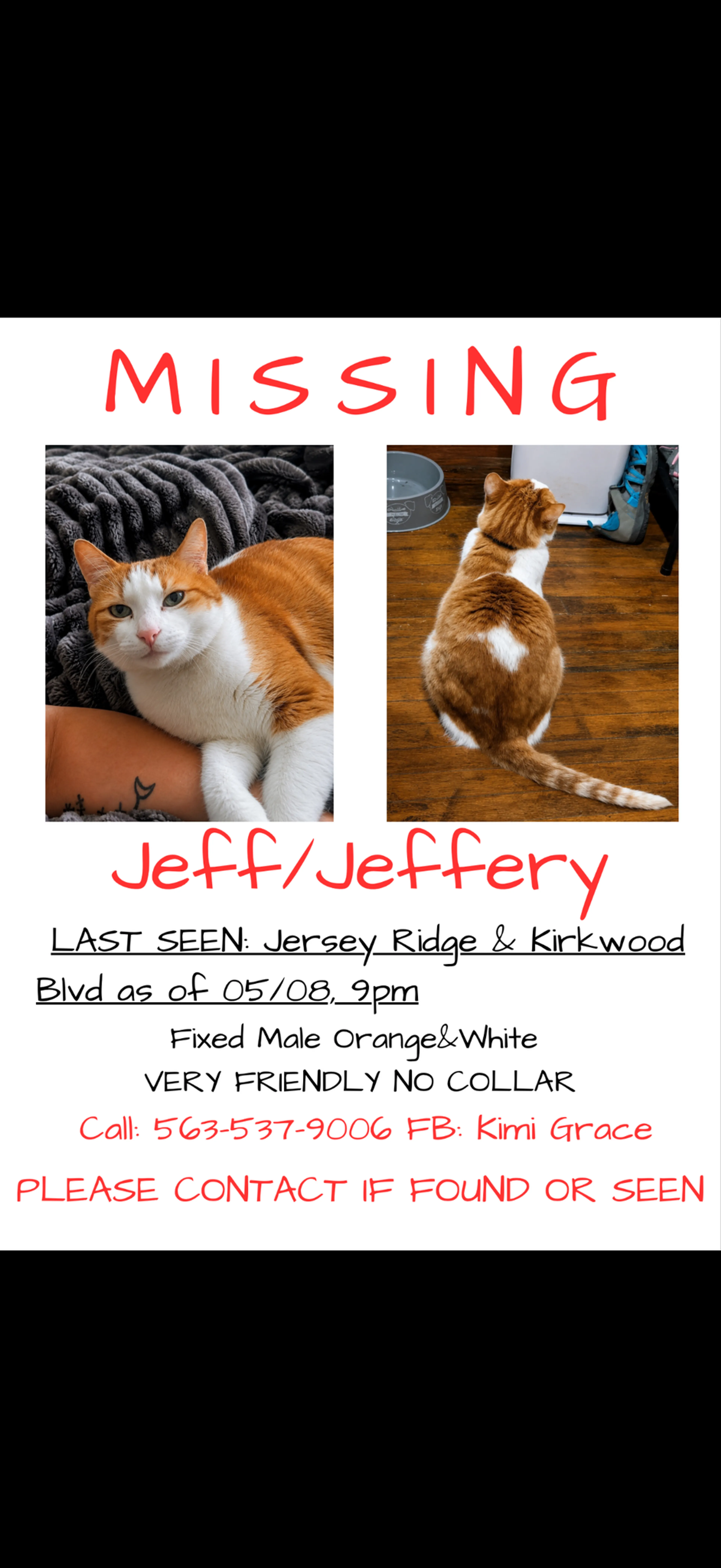 Lost pet