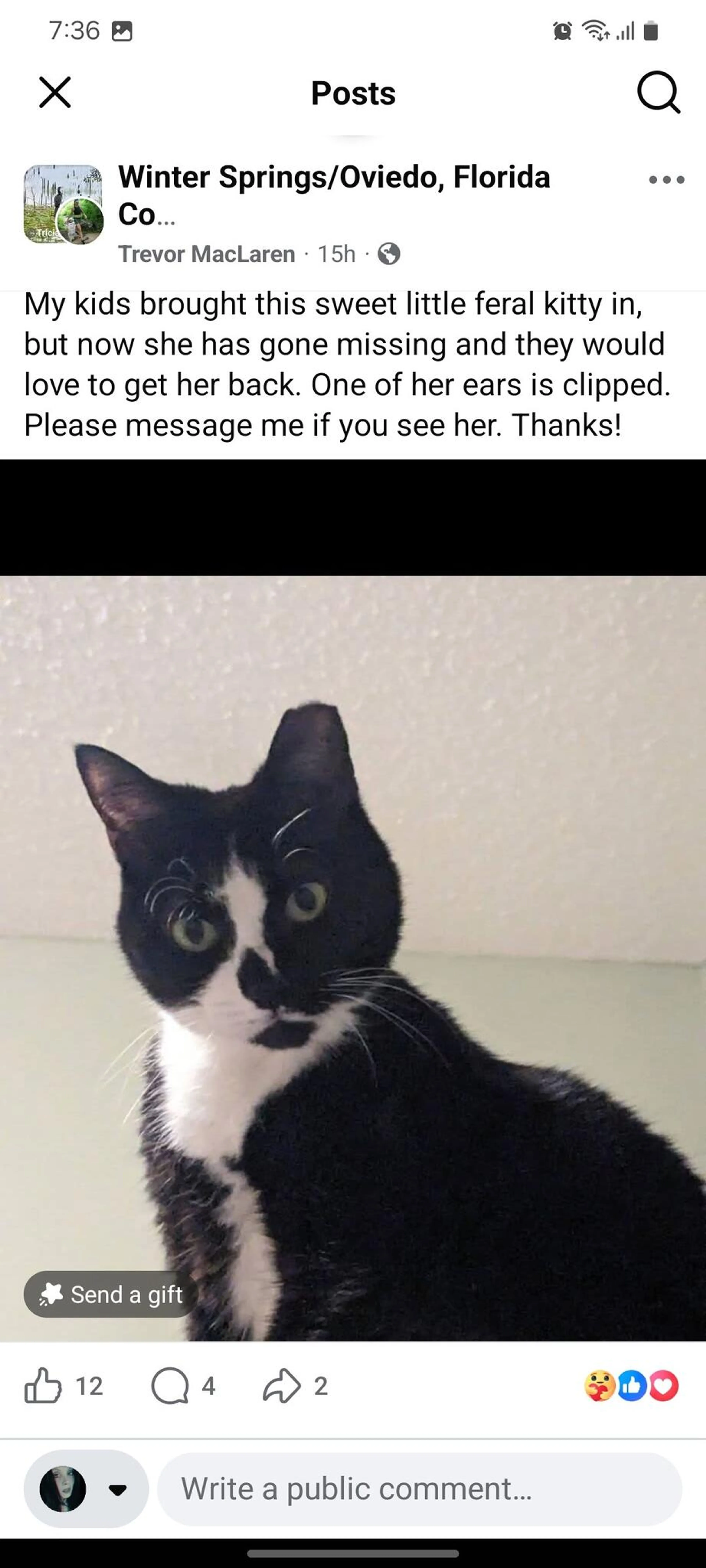 Found pet