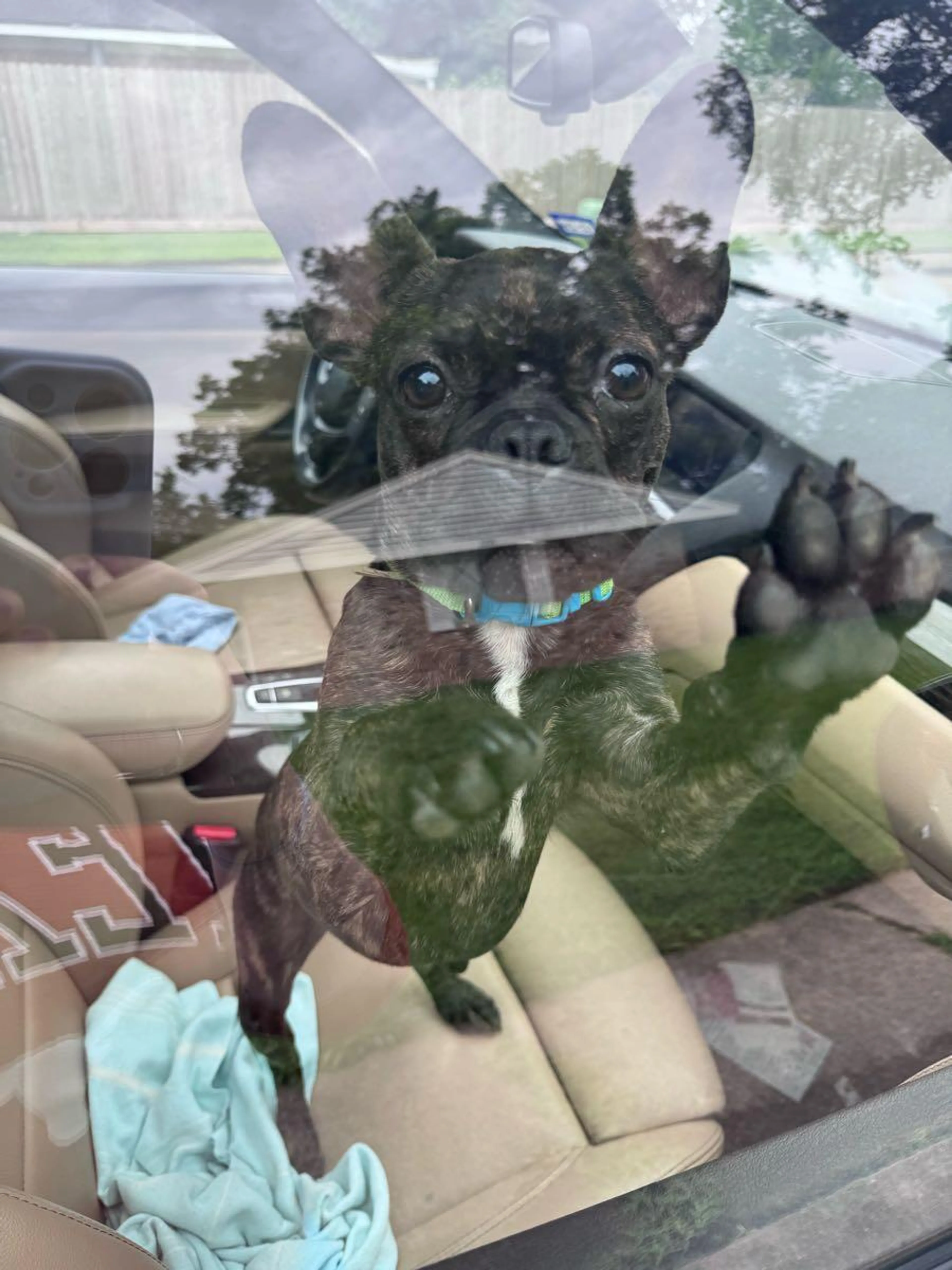 cdn image