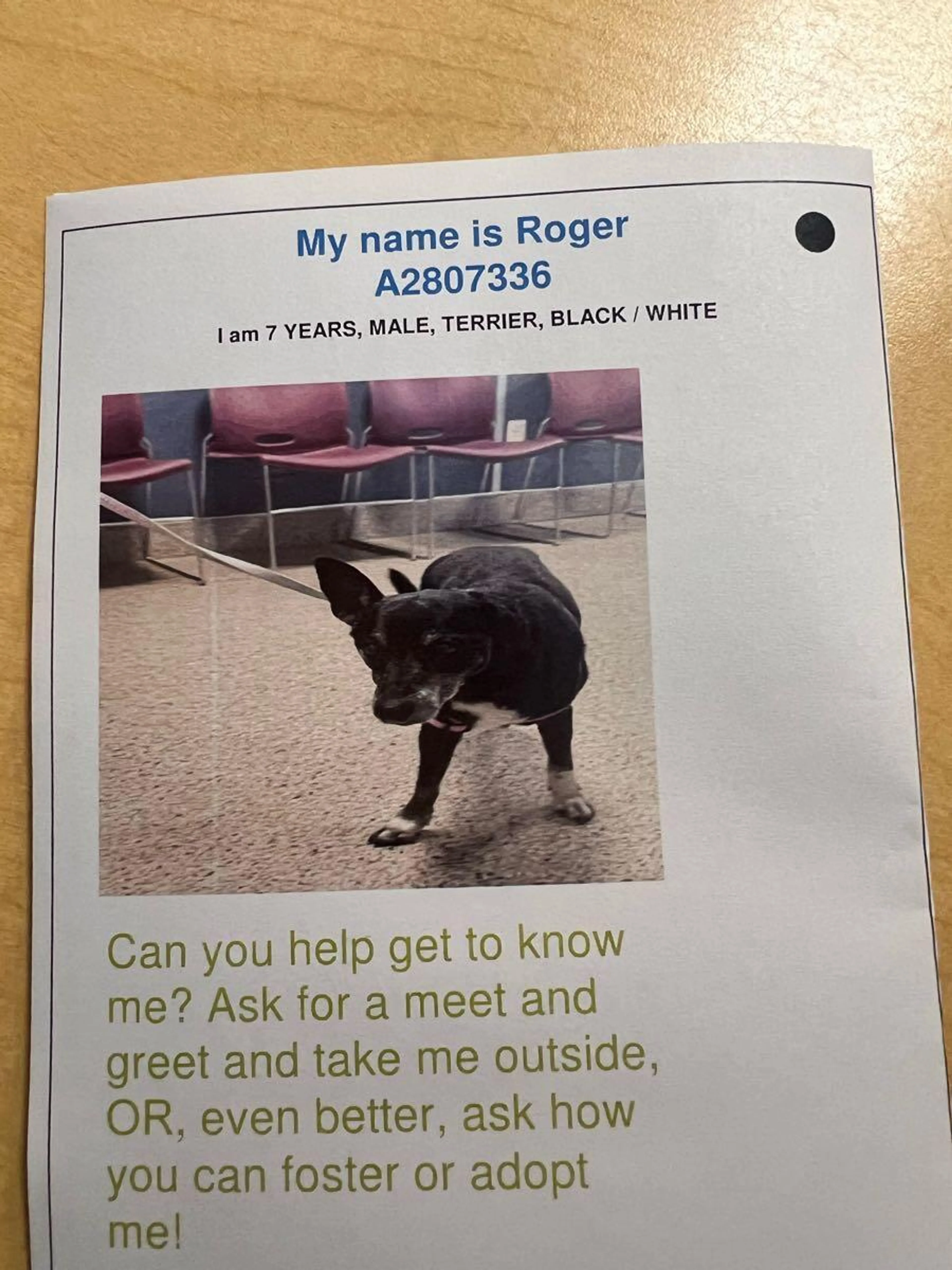cdn image
