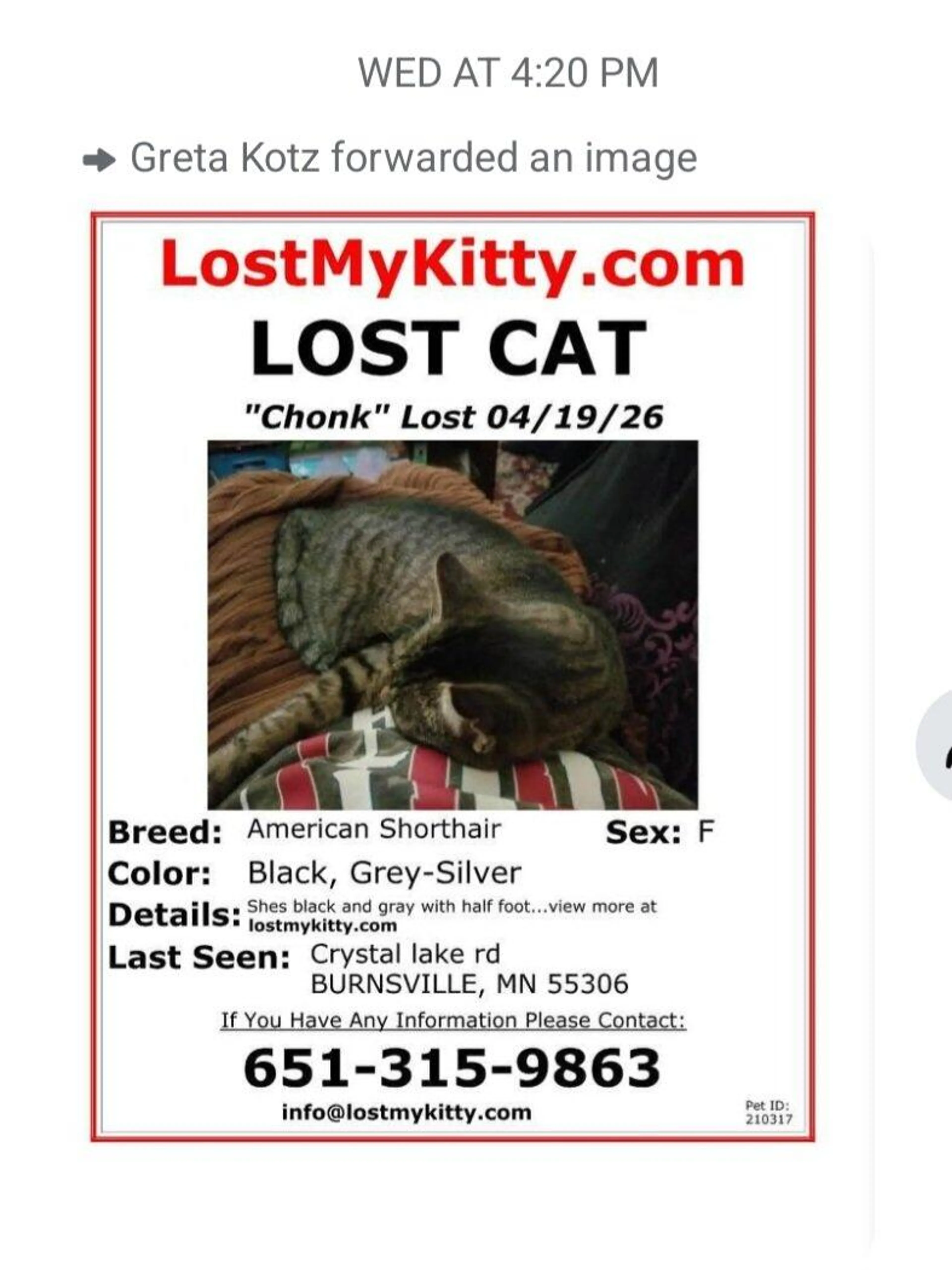 Lost pet