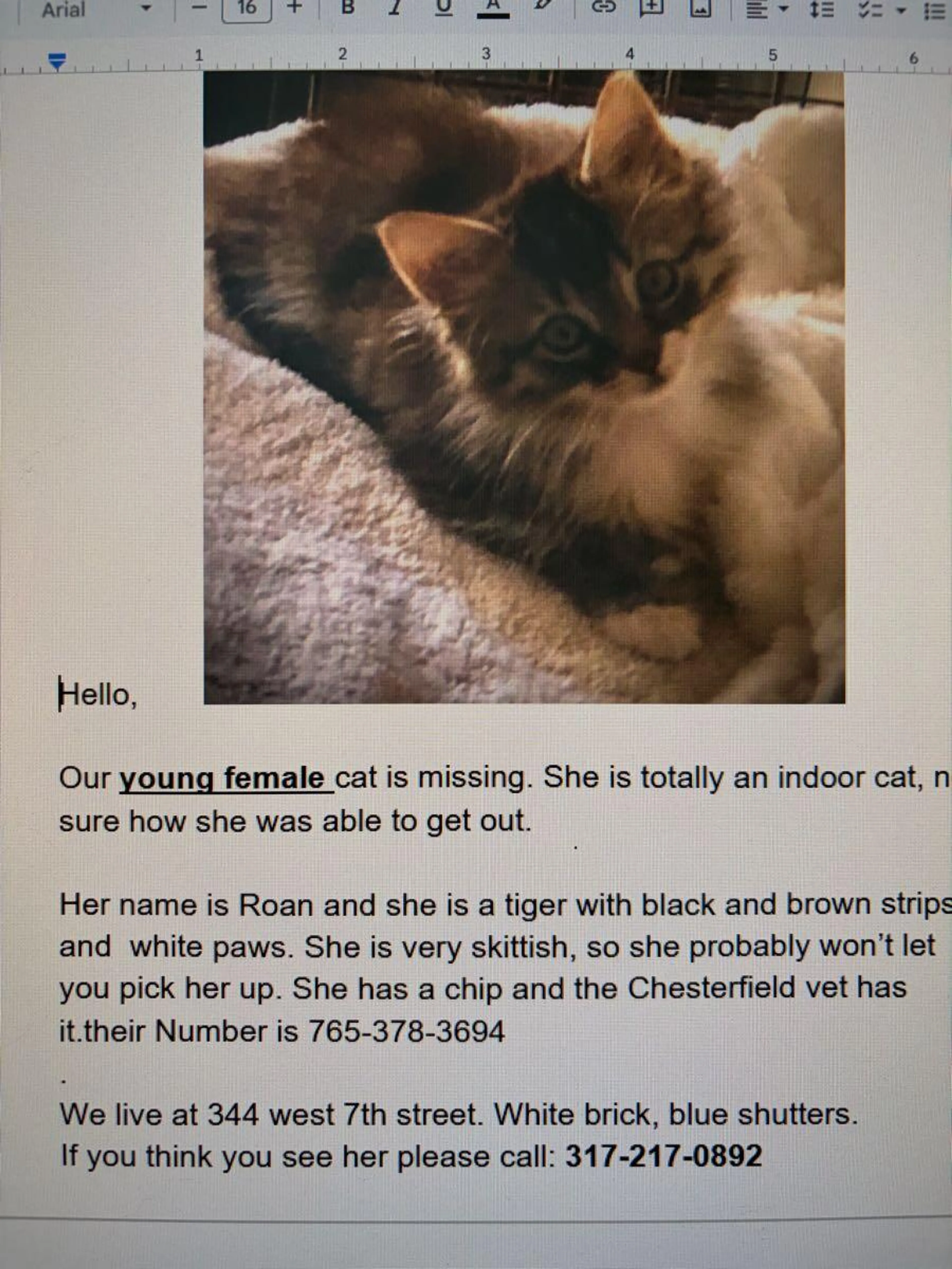 Lost pet