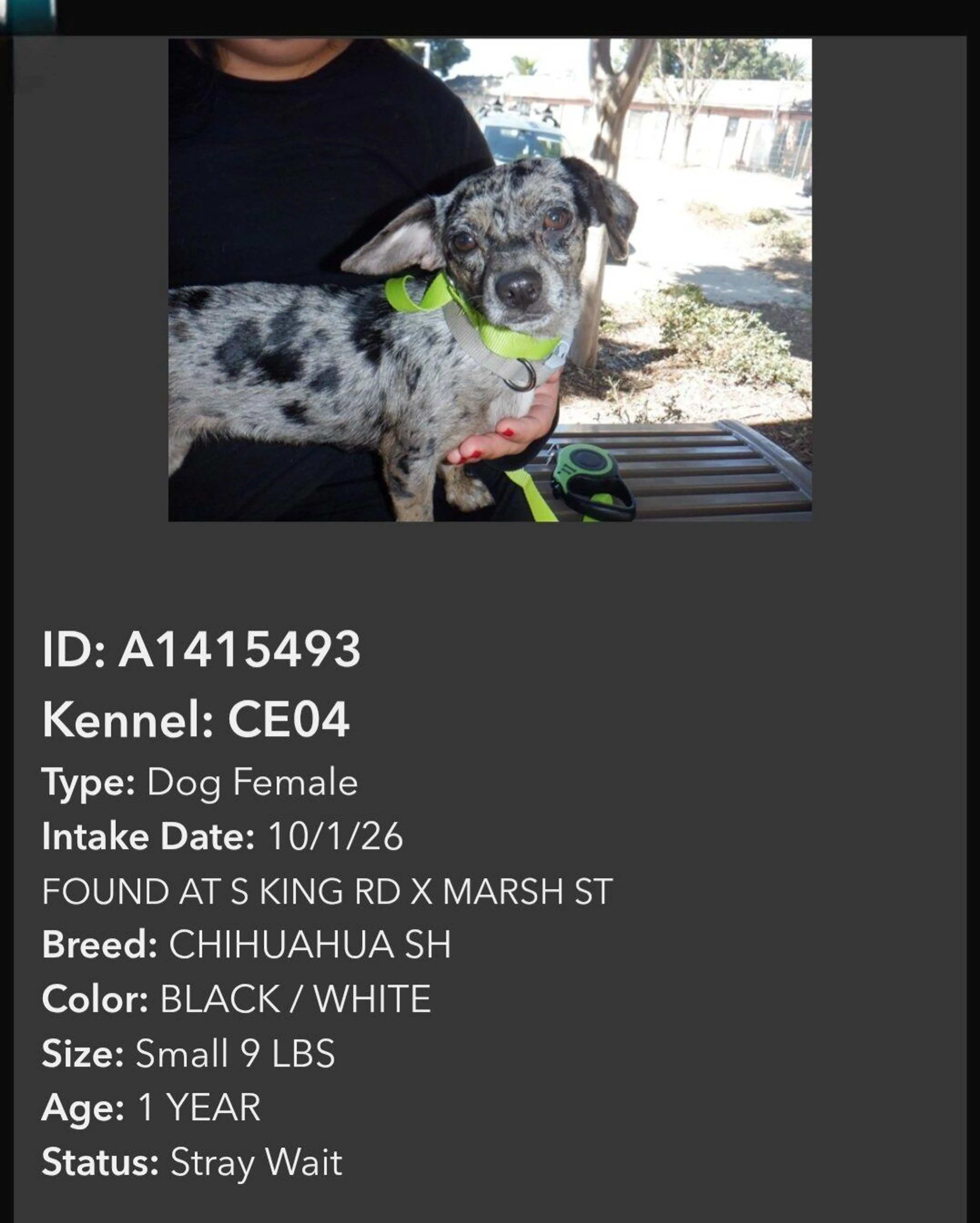 cdn image