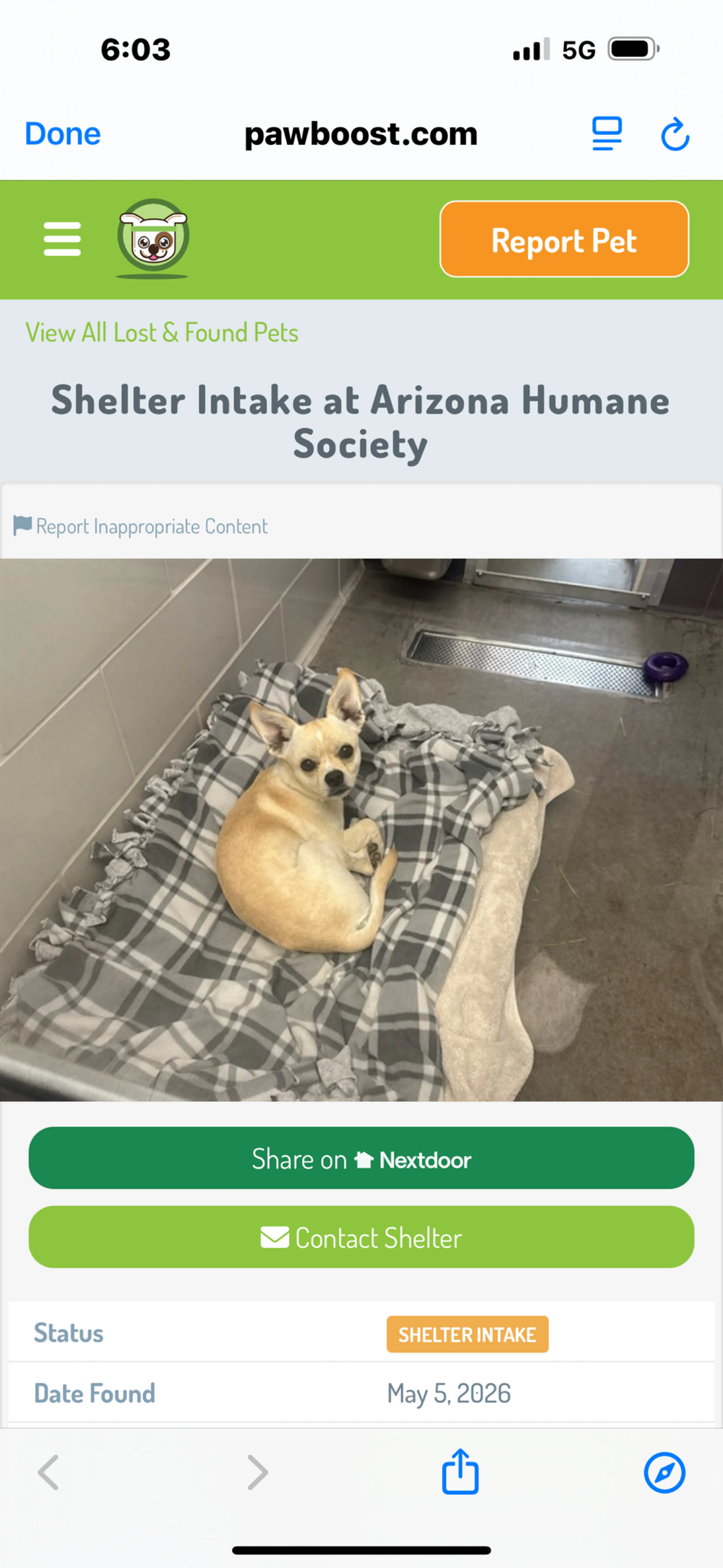 Found pet