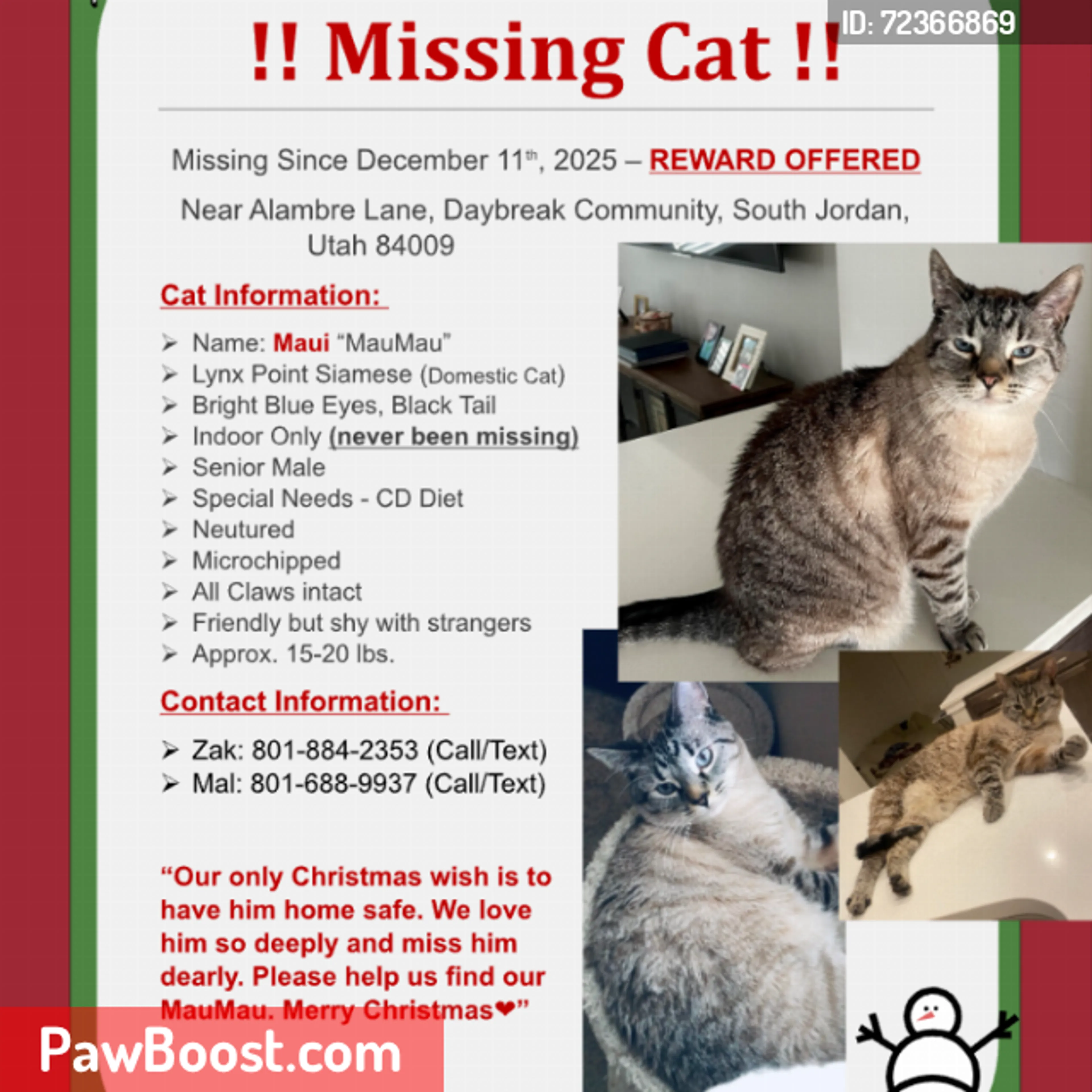 Lost pet