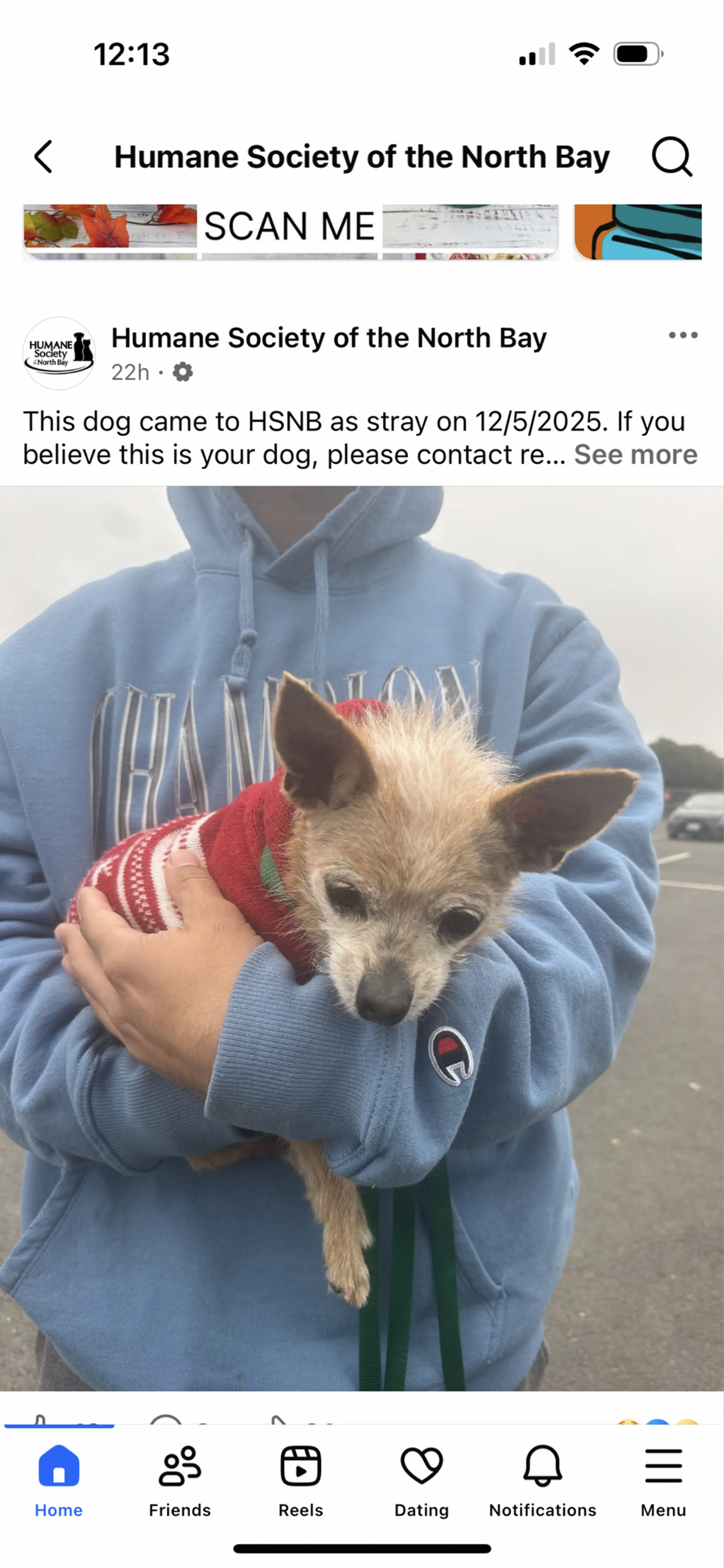Found pet