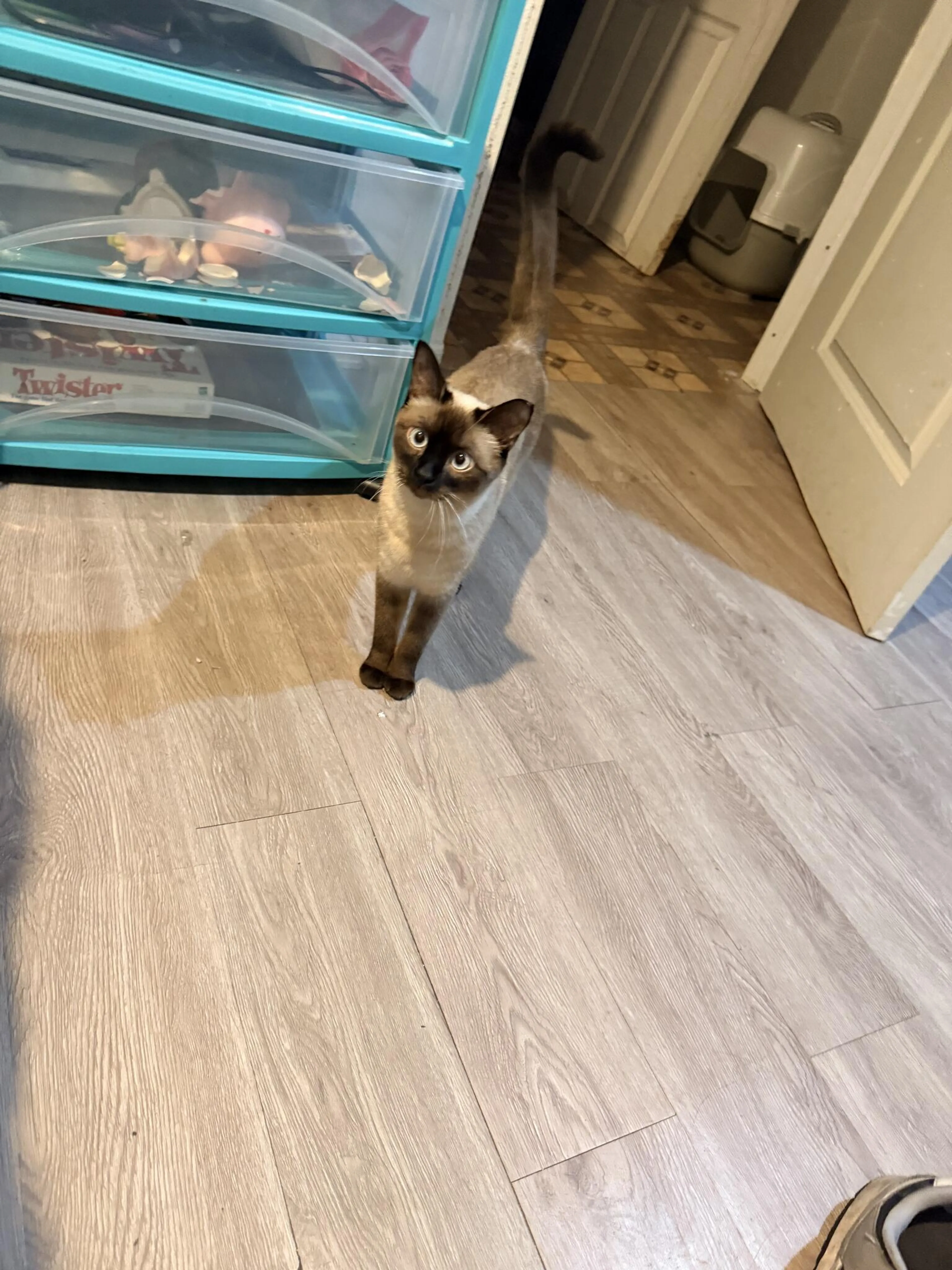 cdn image