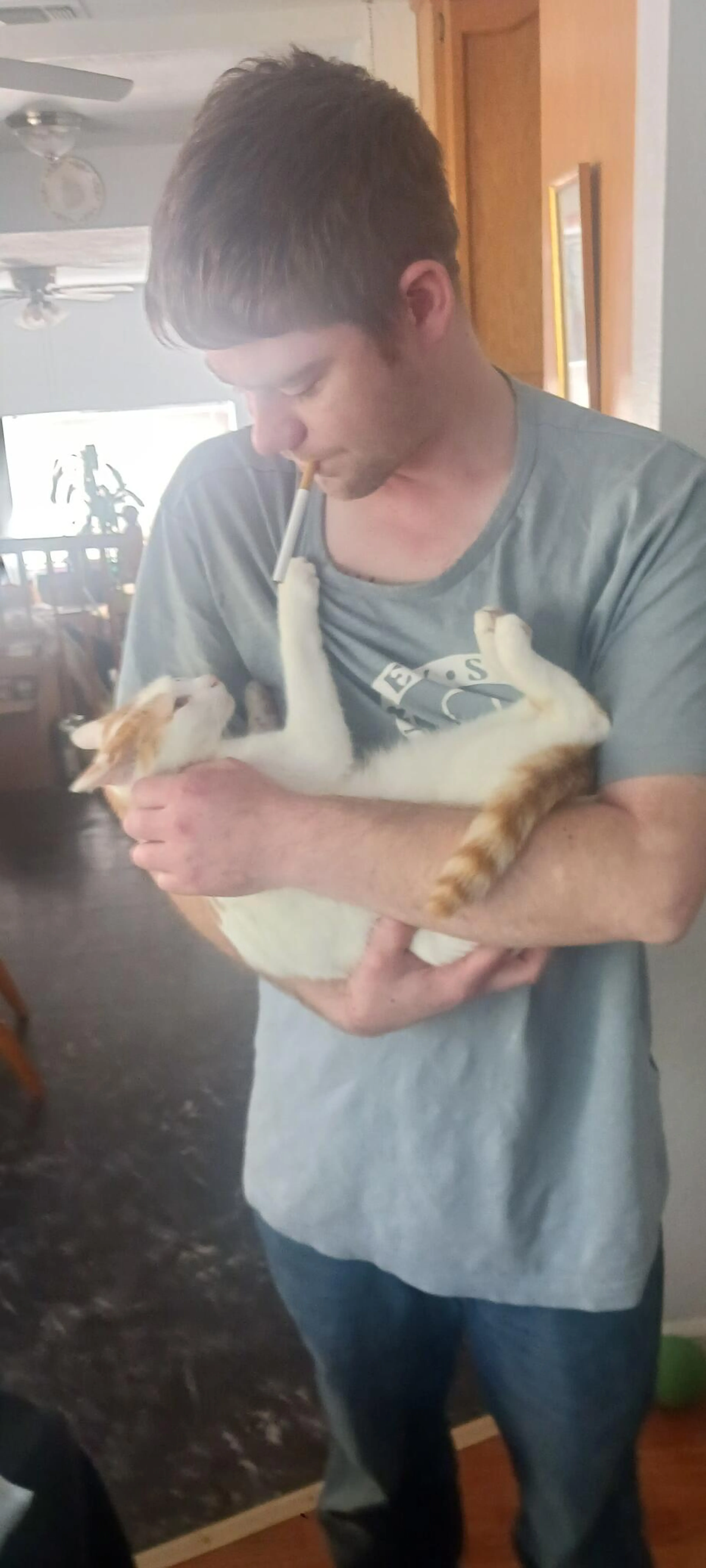 Lost pet