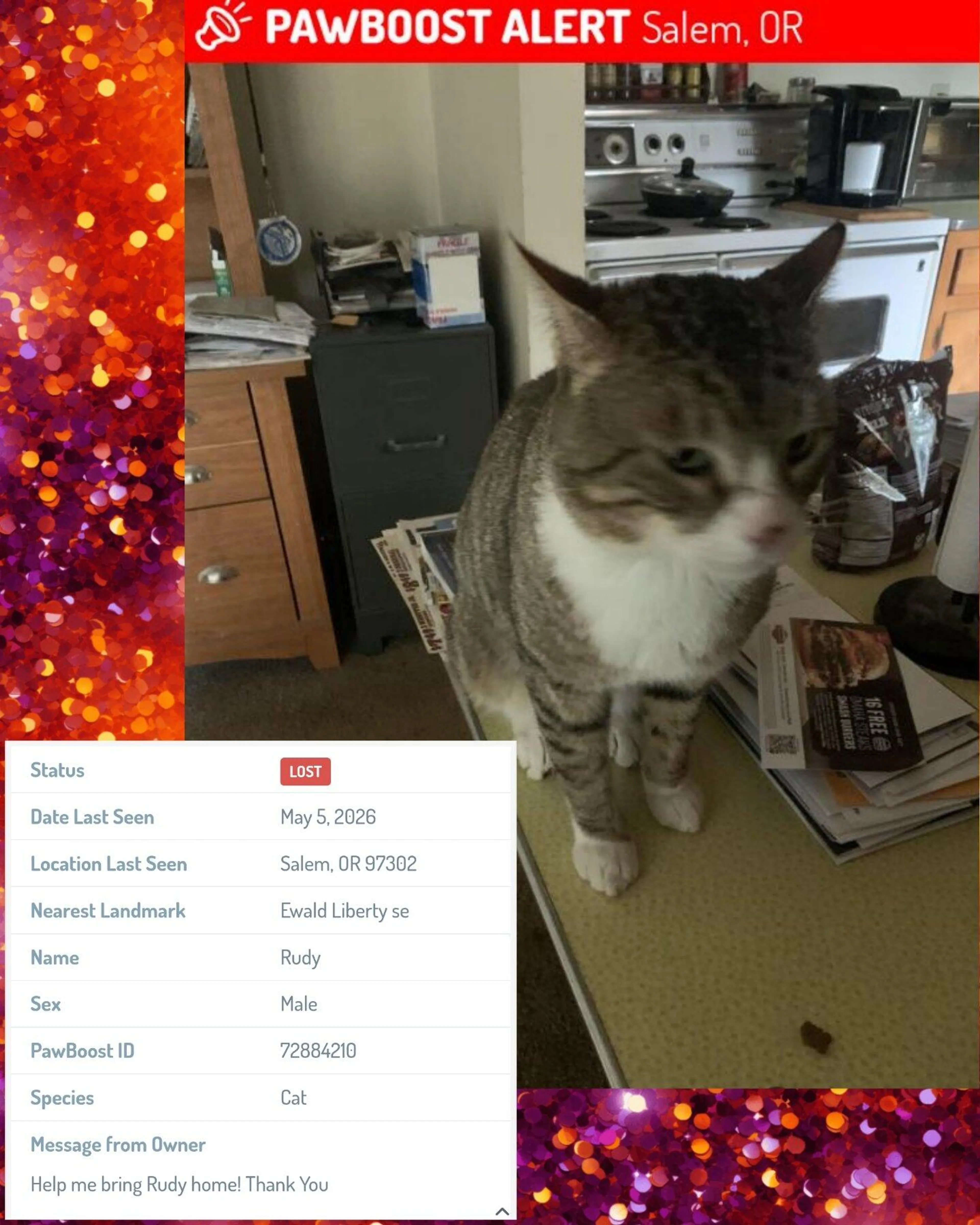 Lost pet
