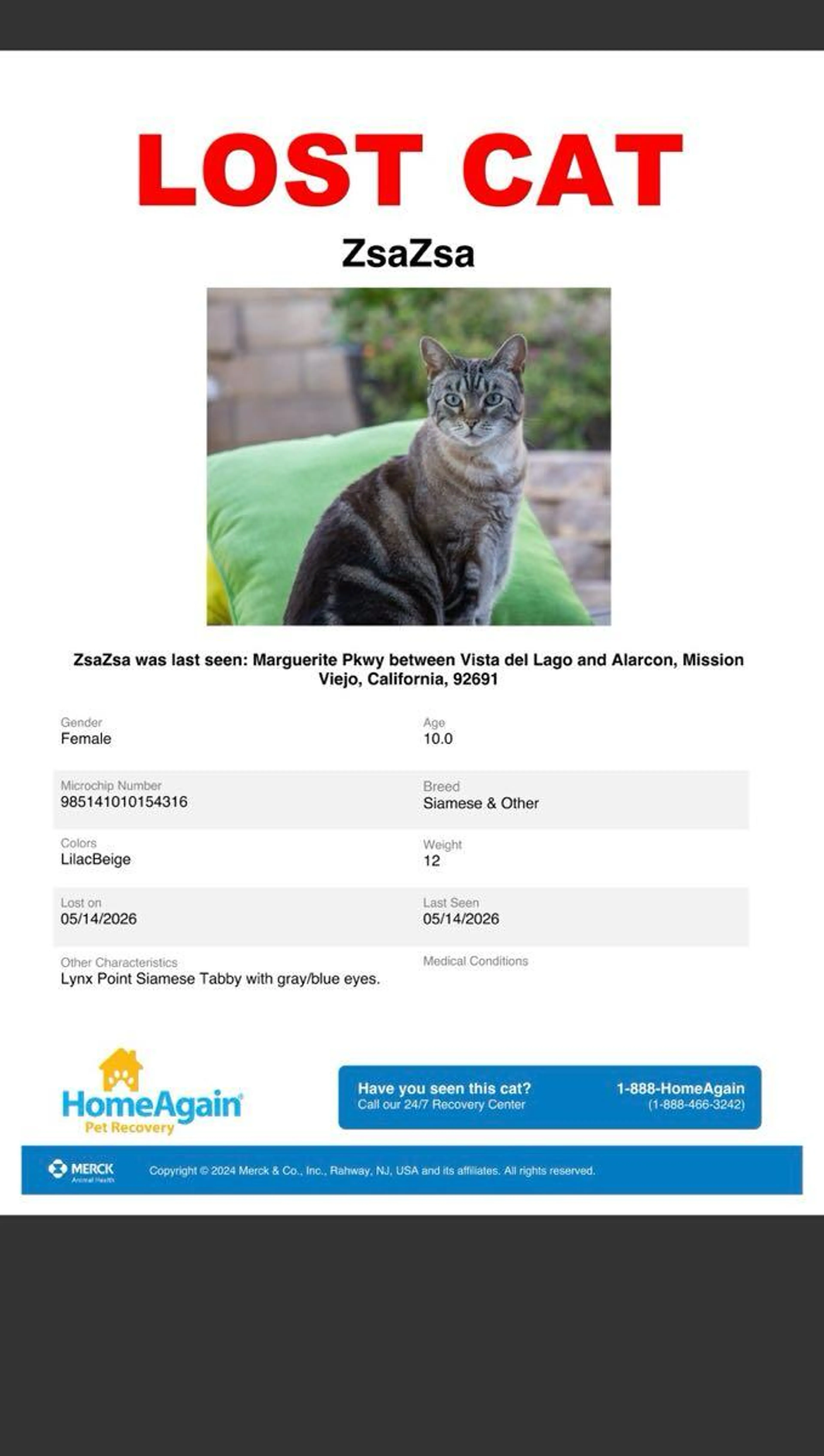 Lost pet
