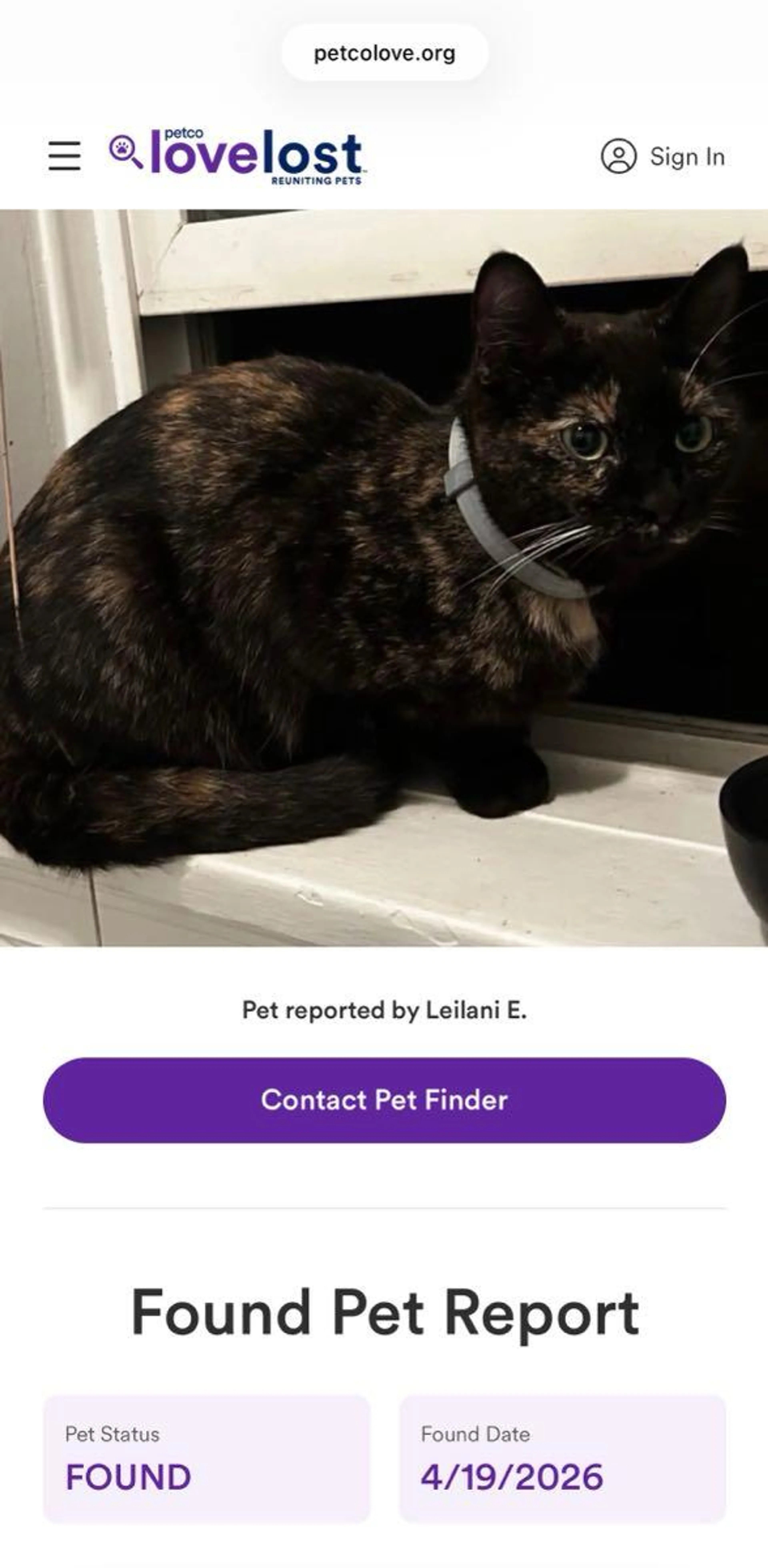 Found pet