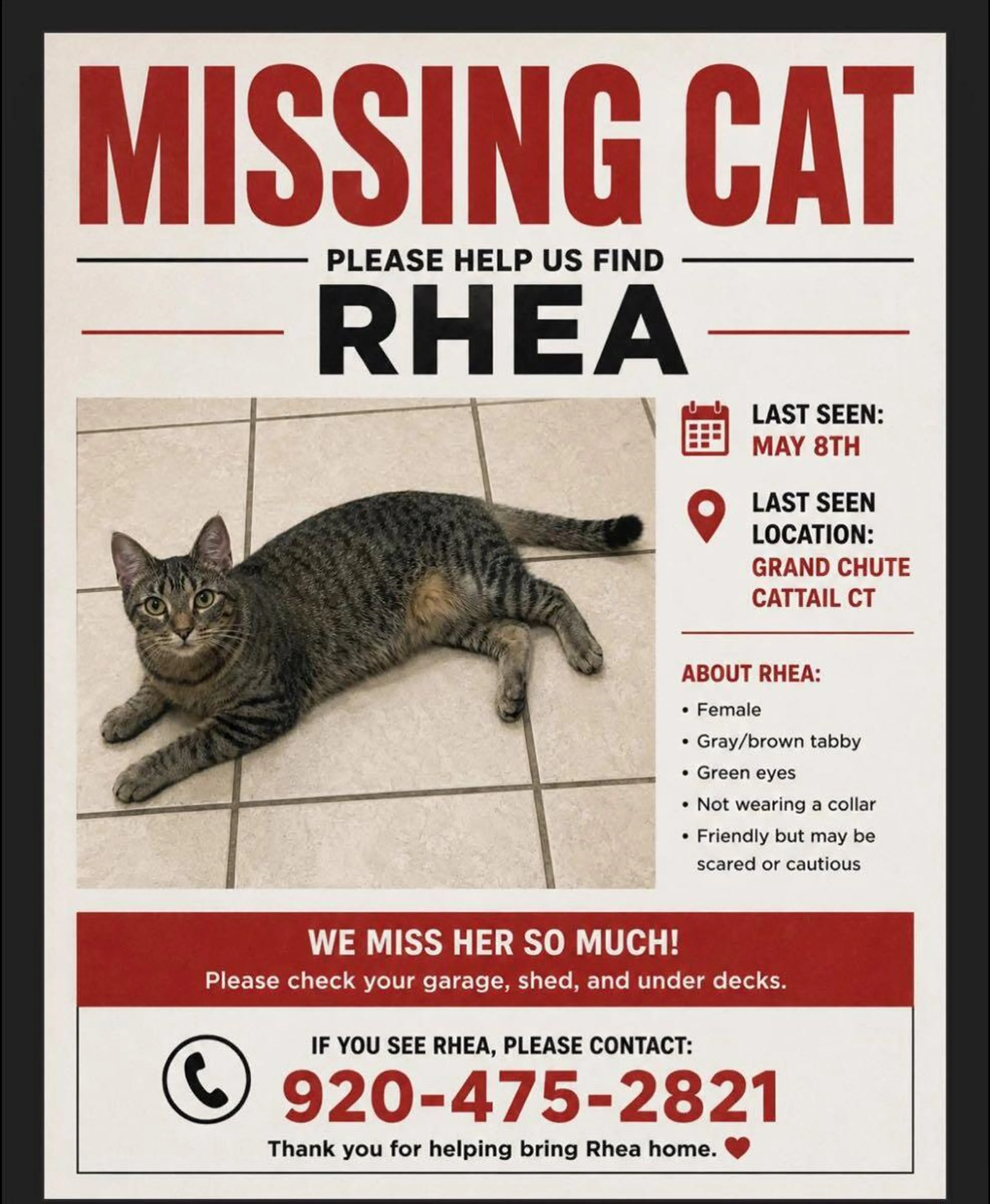 Lost pet