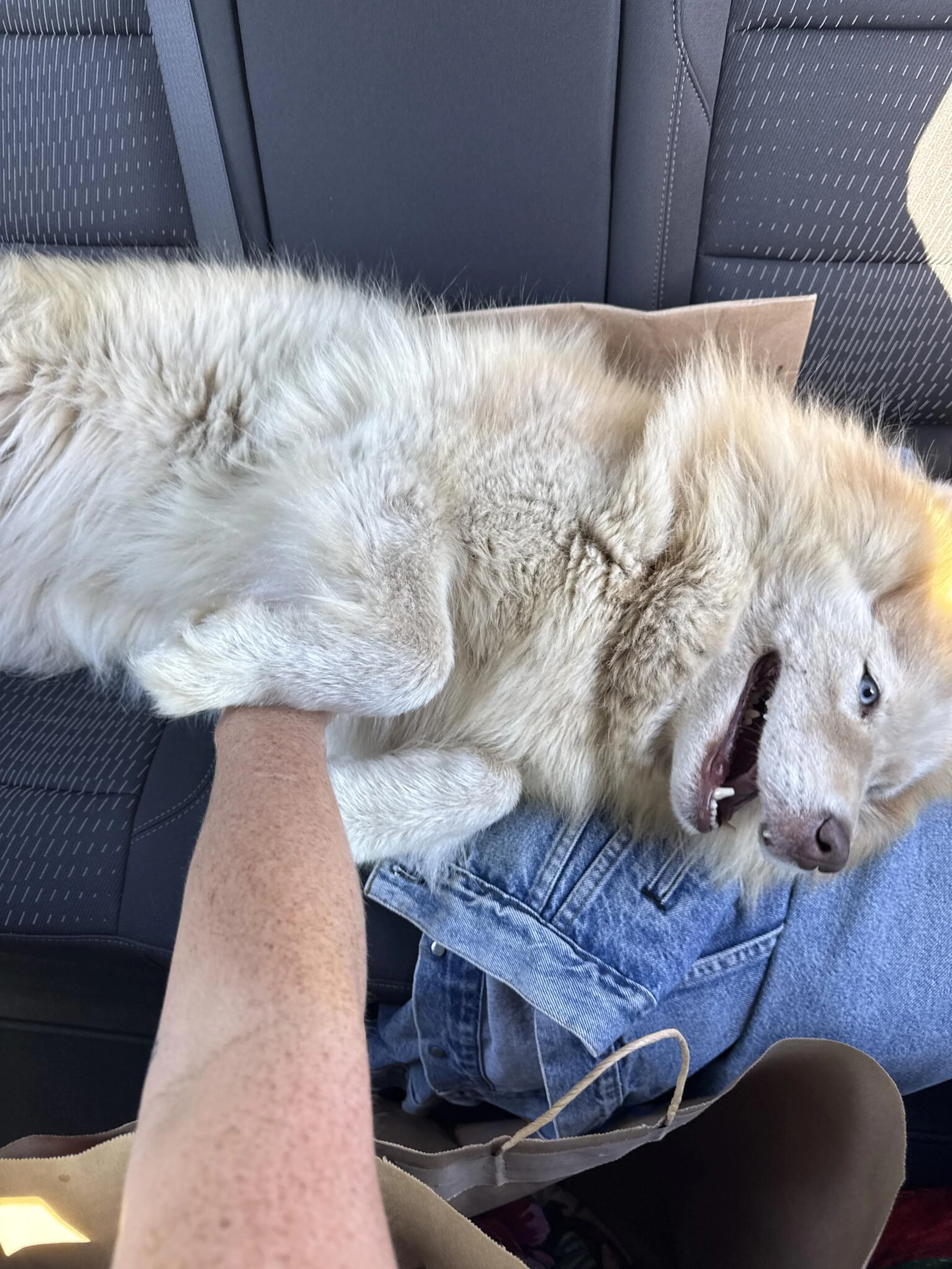 cdn image
