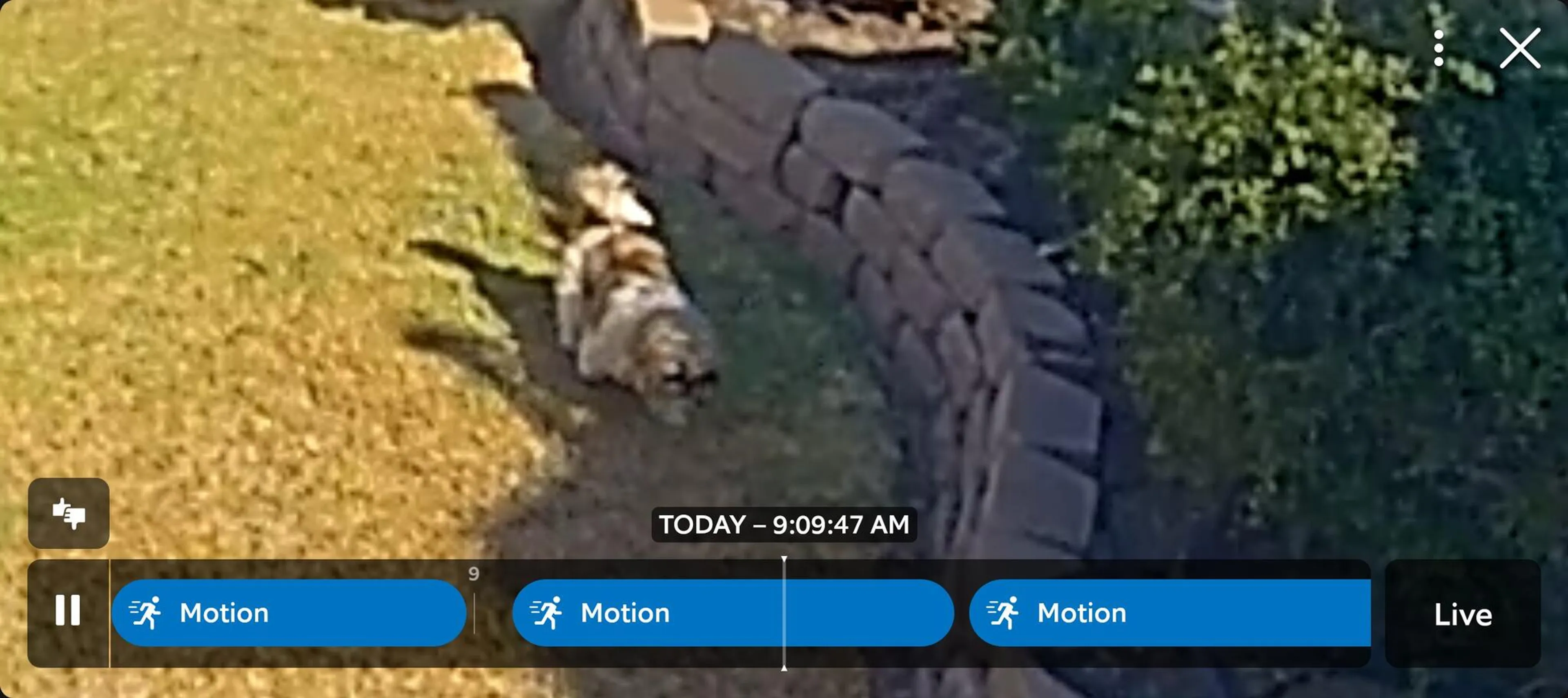 cdn image
