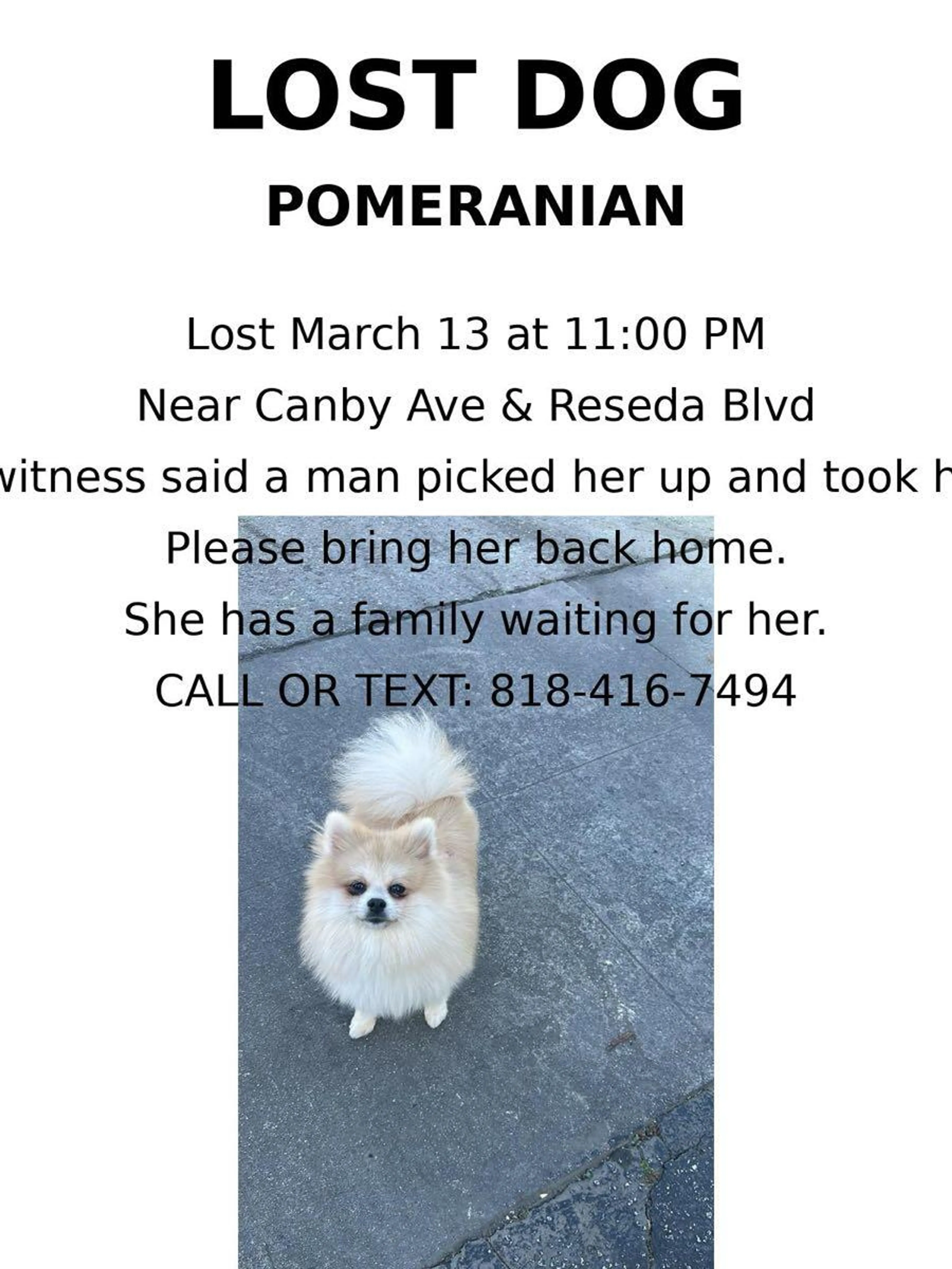 Lost pet