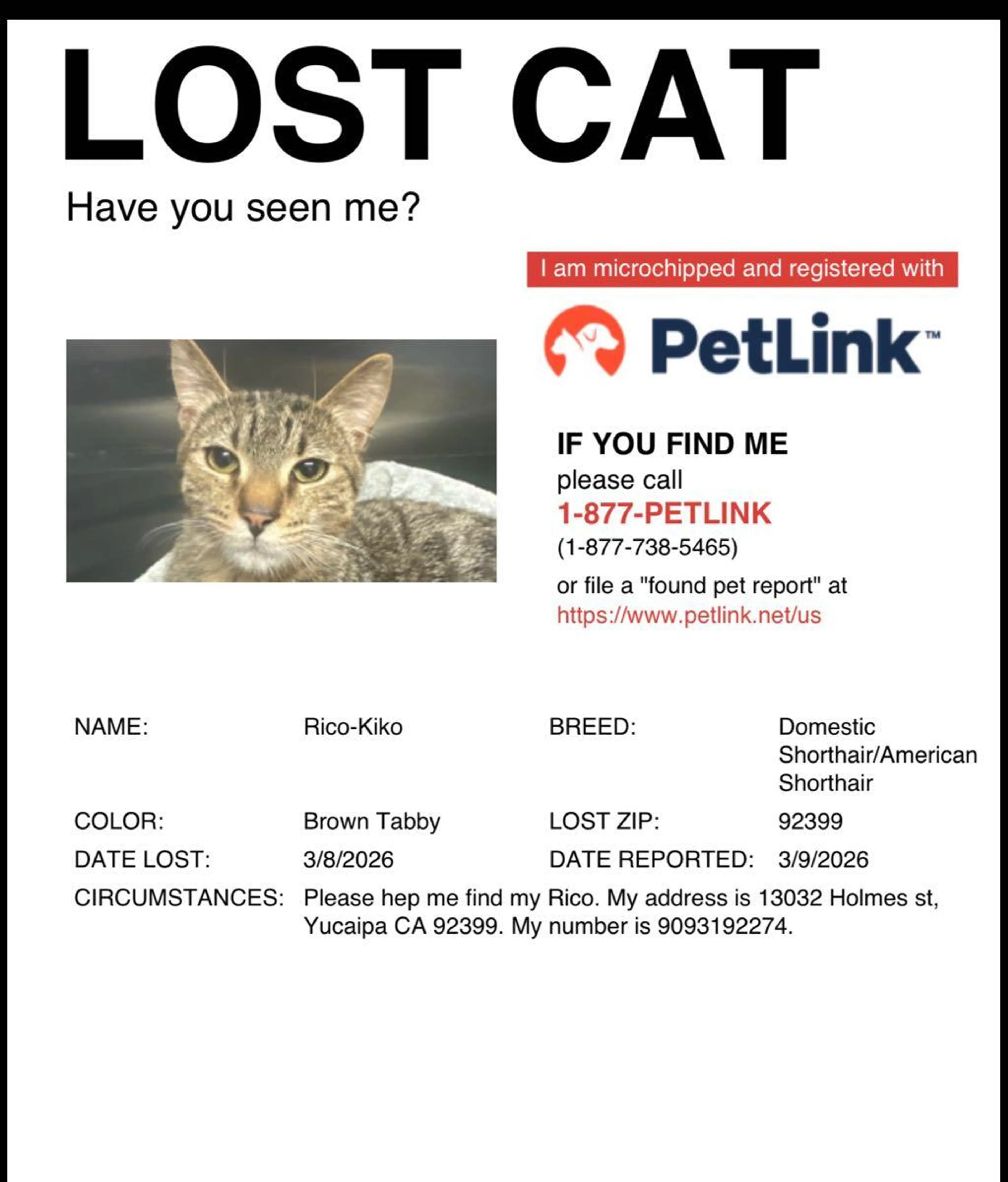 Lost pet