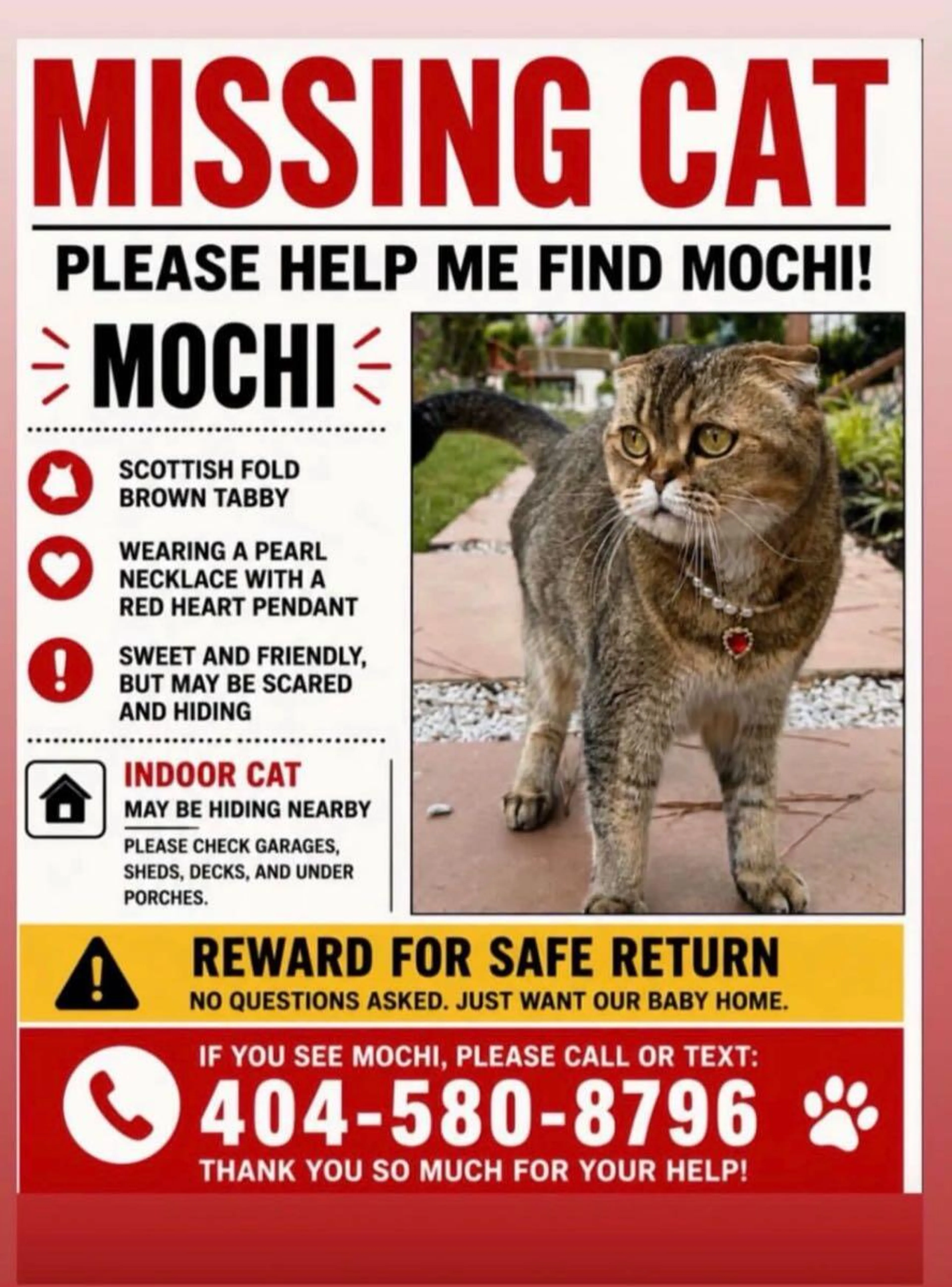 Lost pet