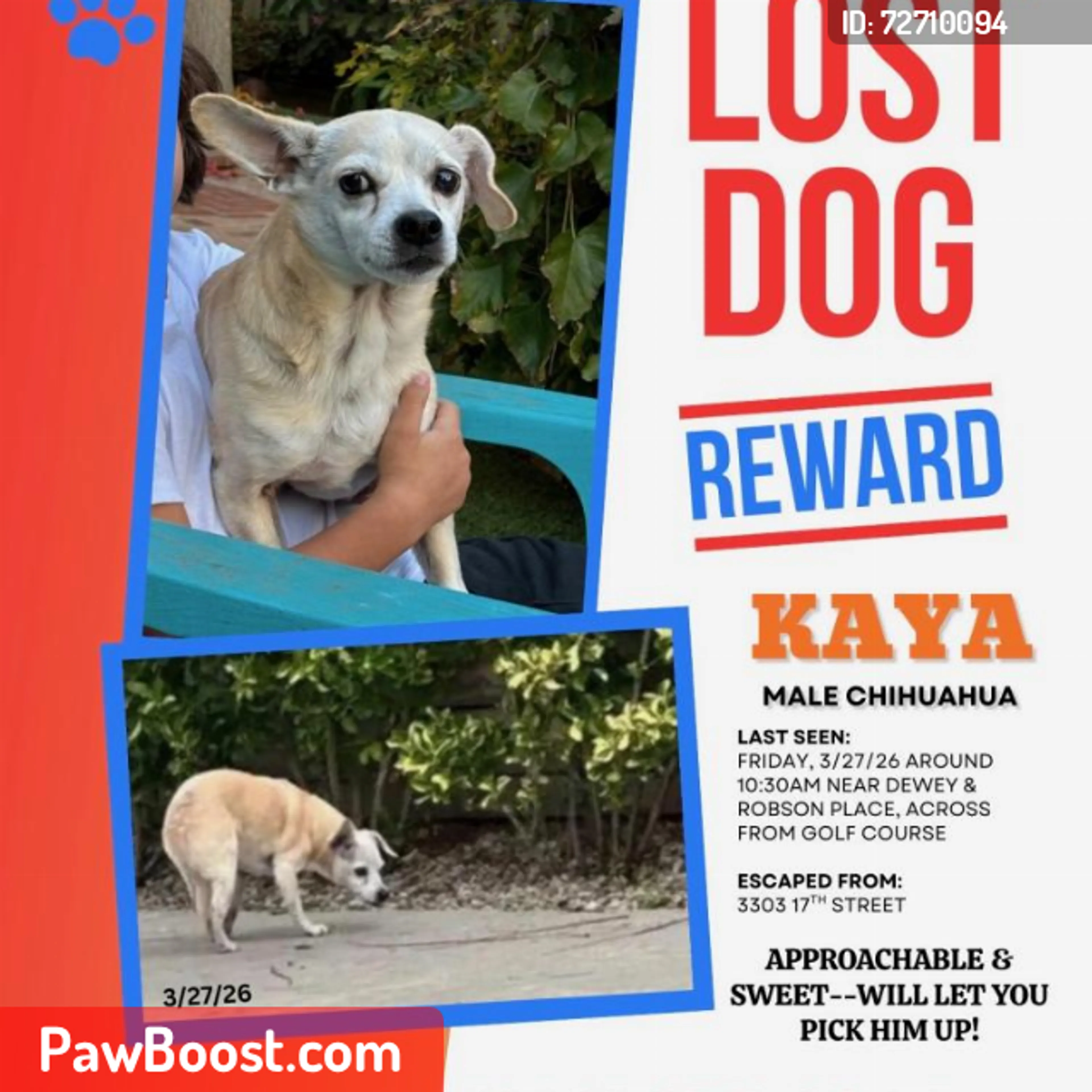 Lost pet
