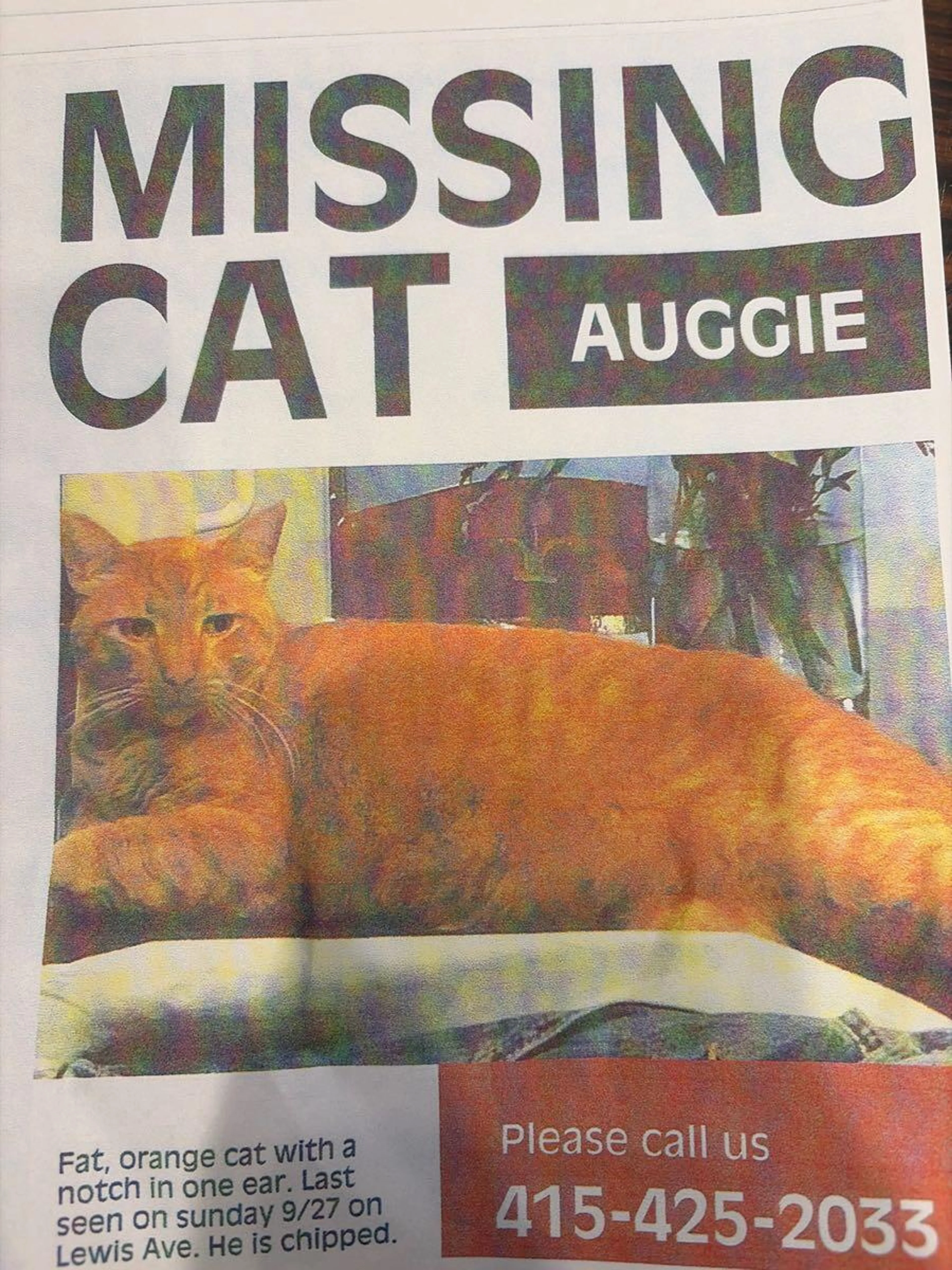 cdn image