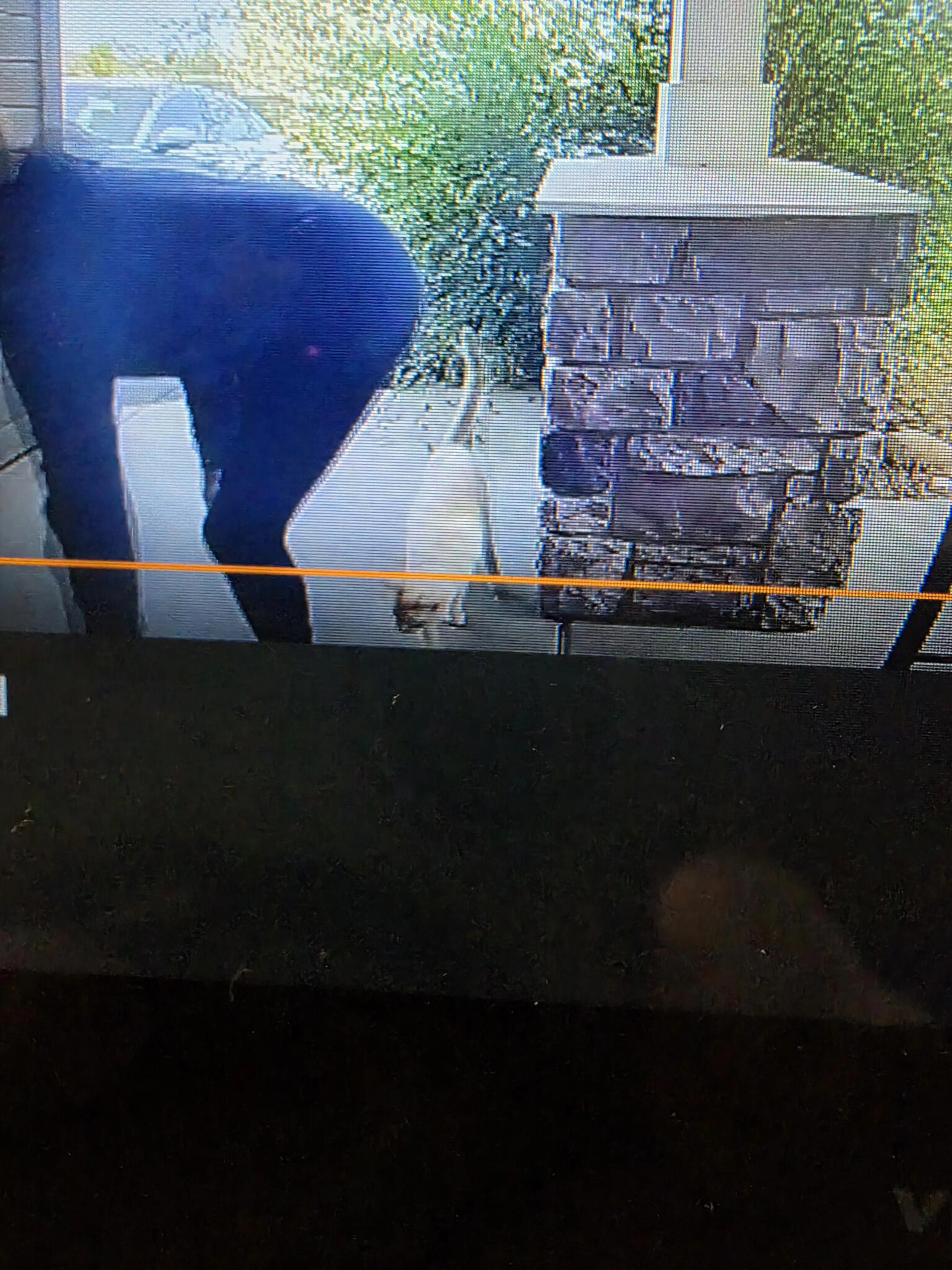 cdn image
