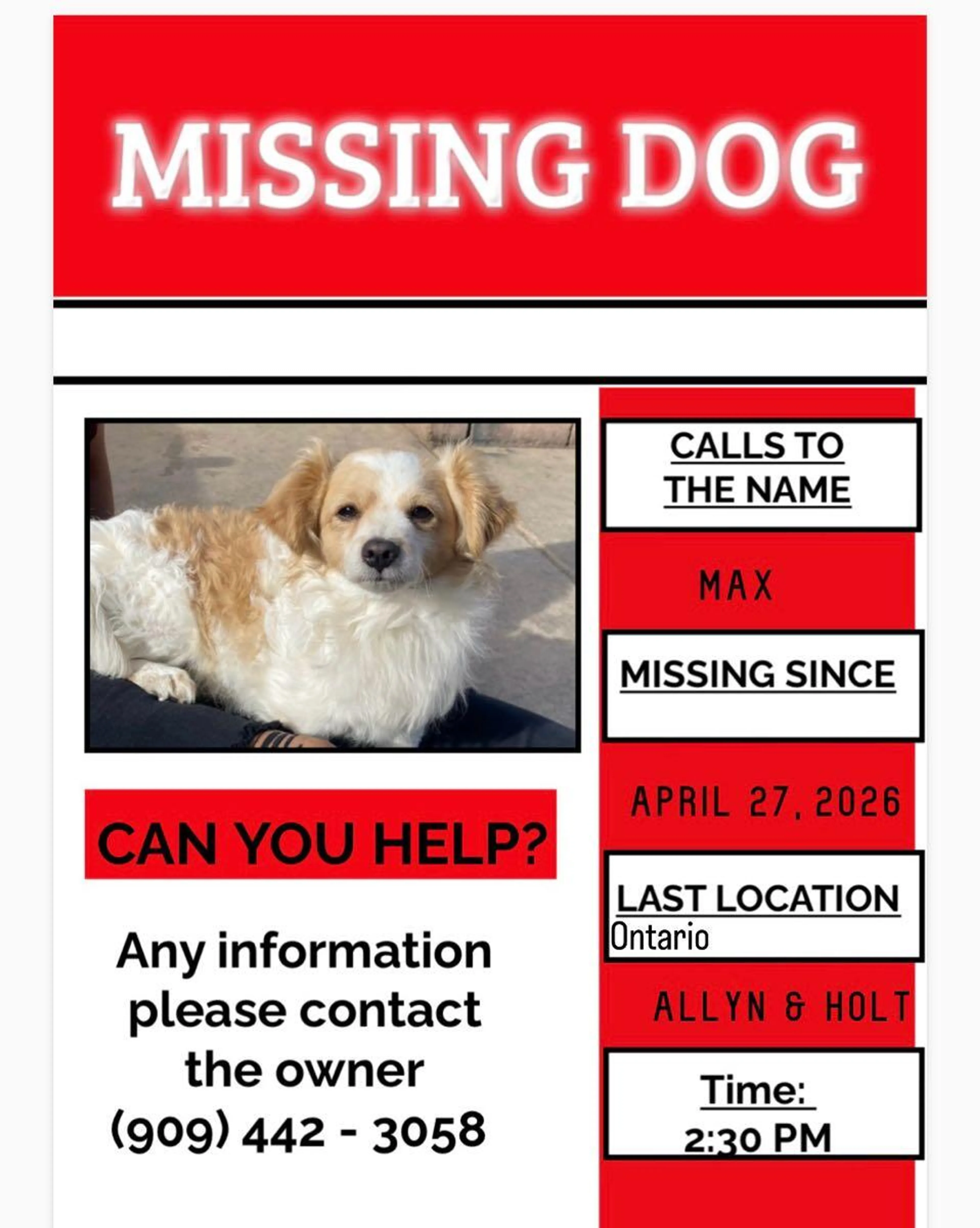 Lost pet