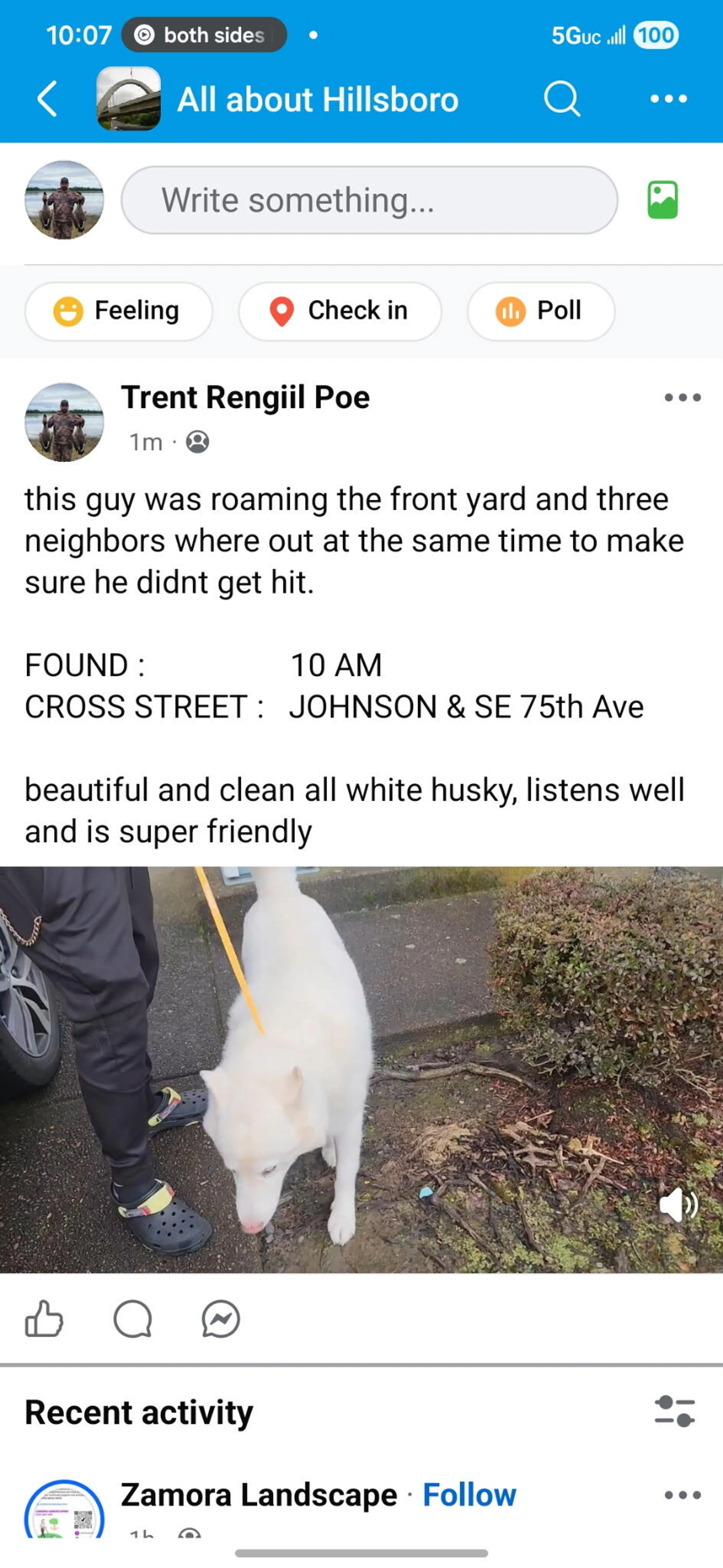 Lost pet