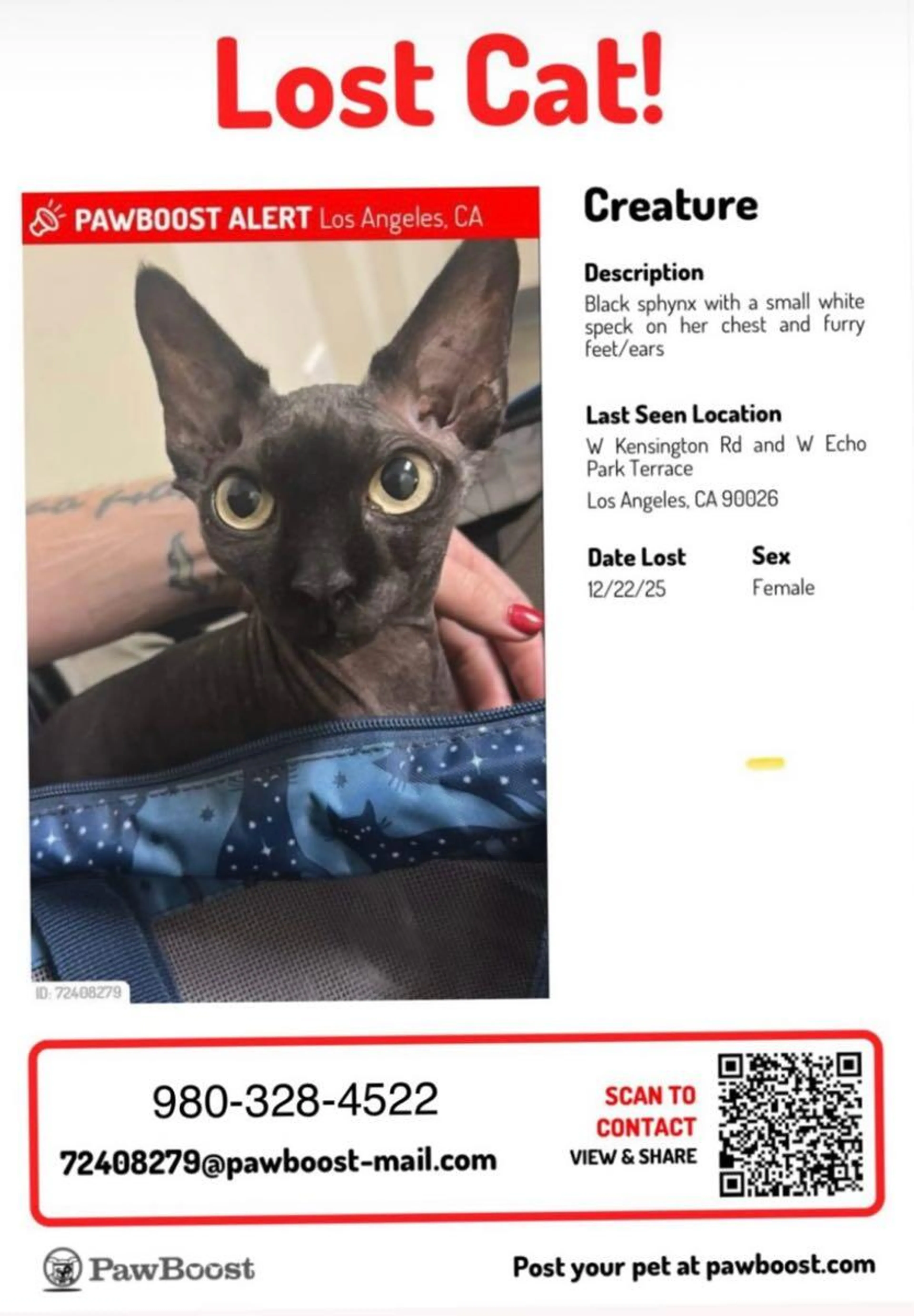 Lost pet