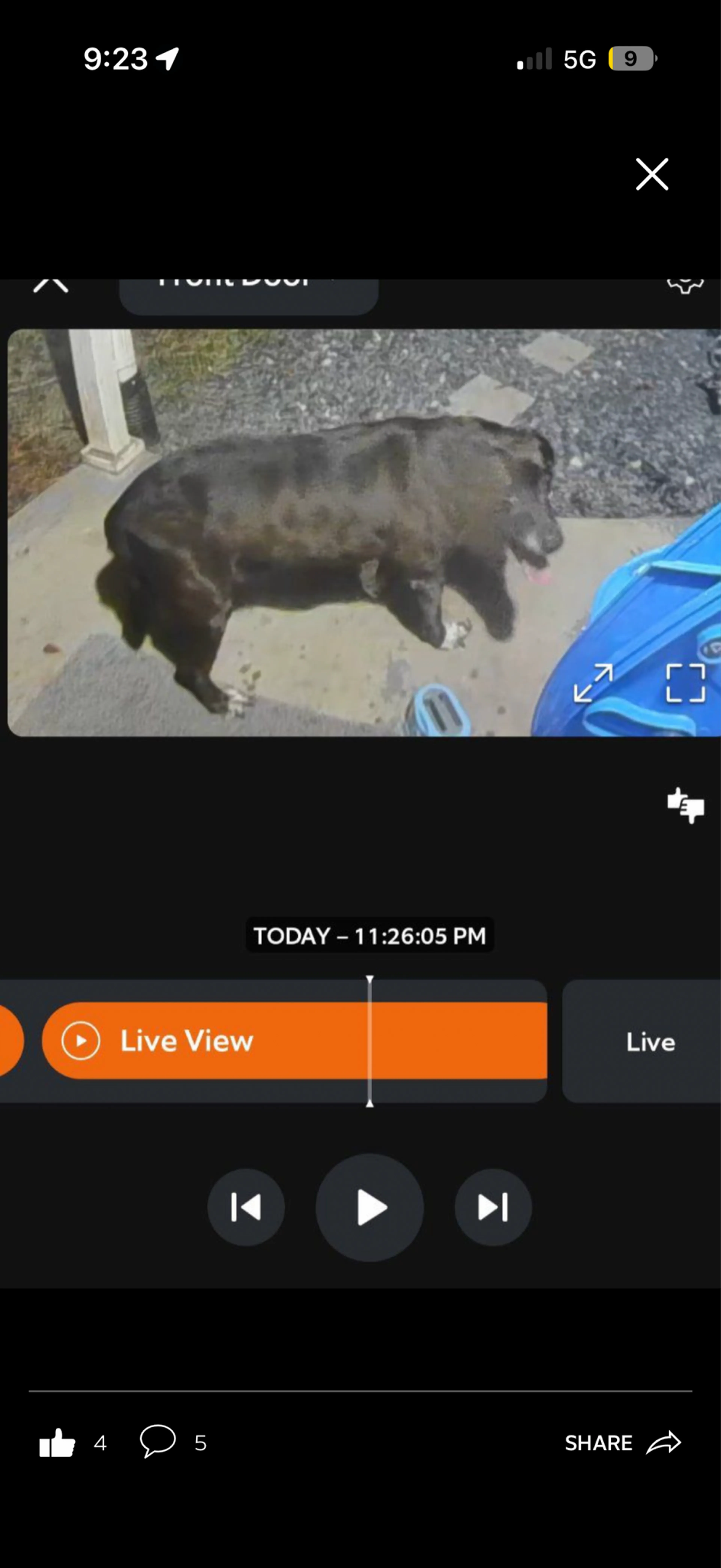 cdn image