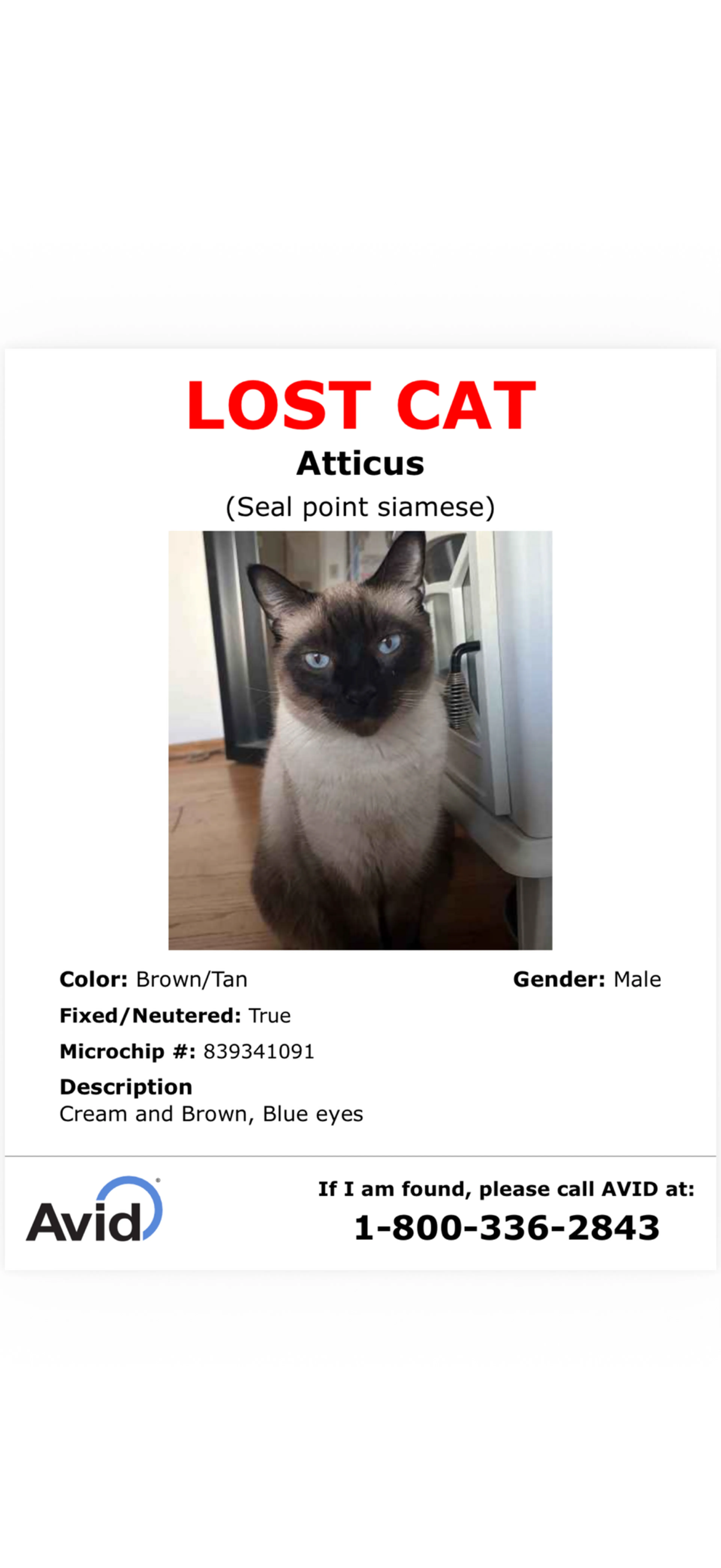 Lost pet