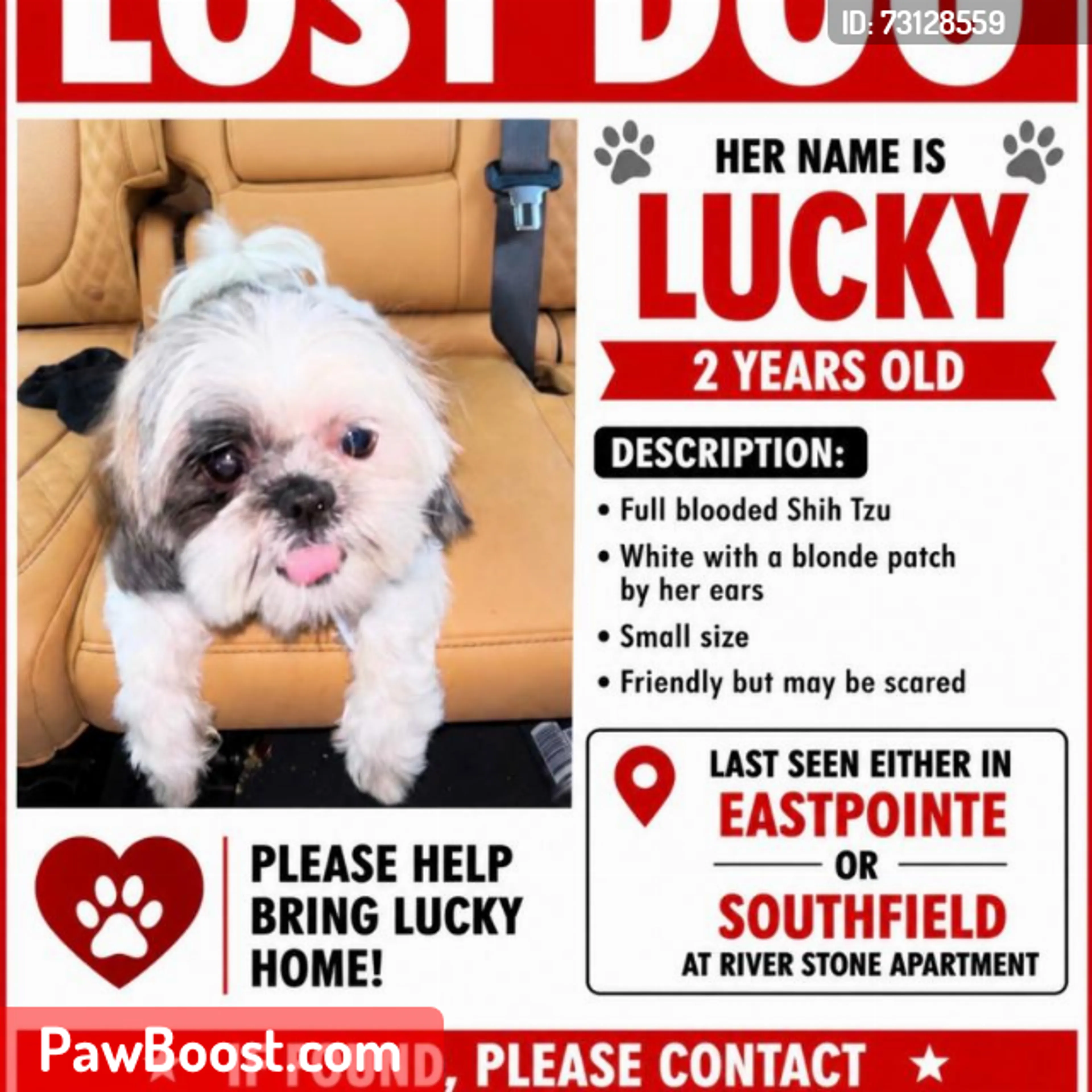 cdn image