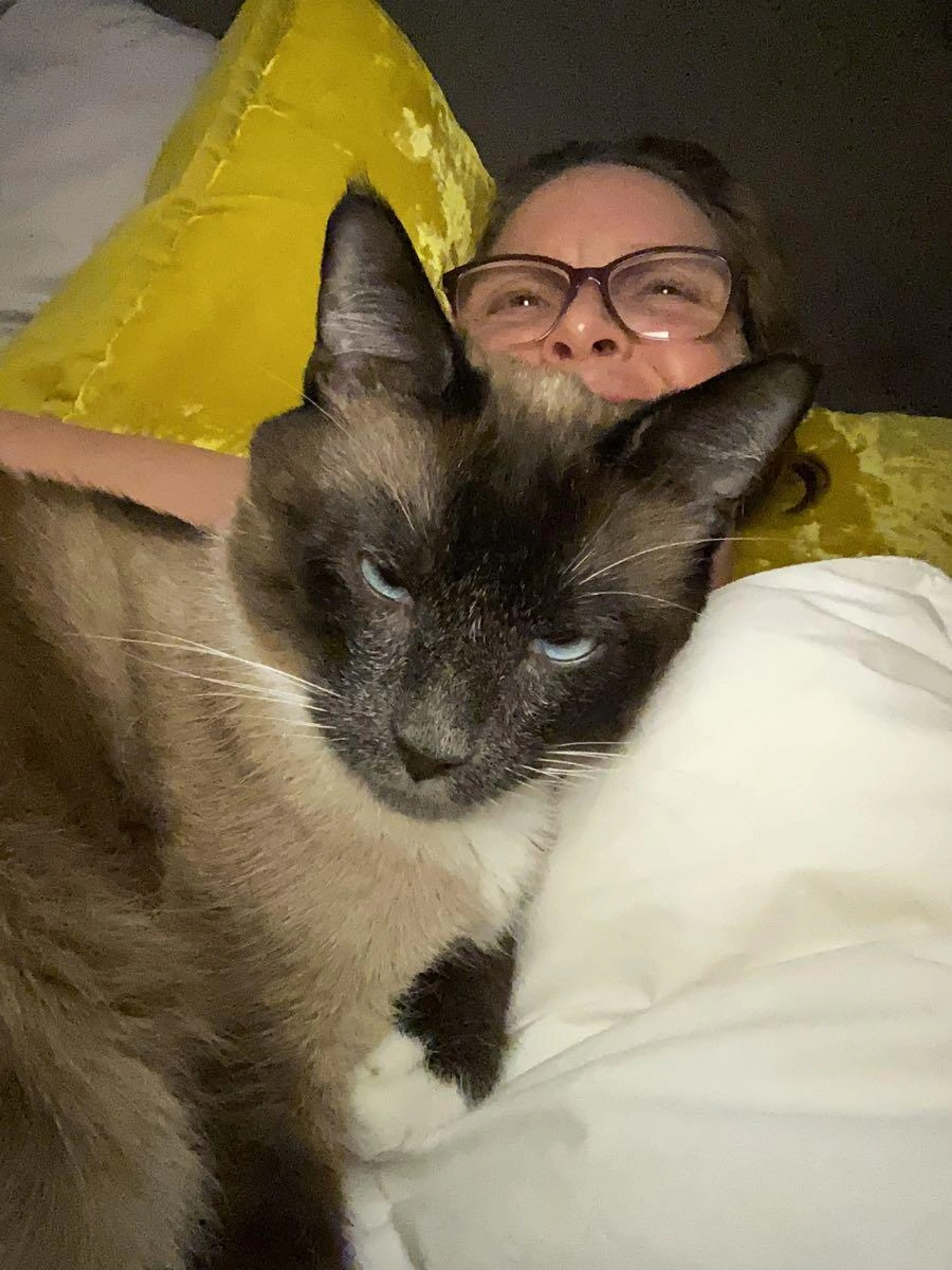Lost pet