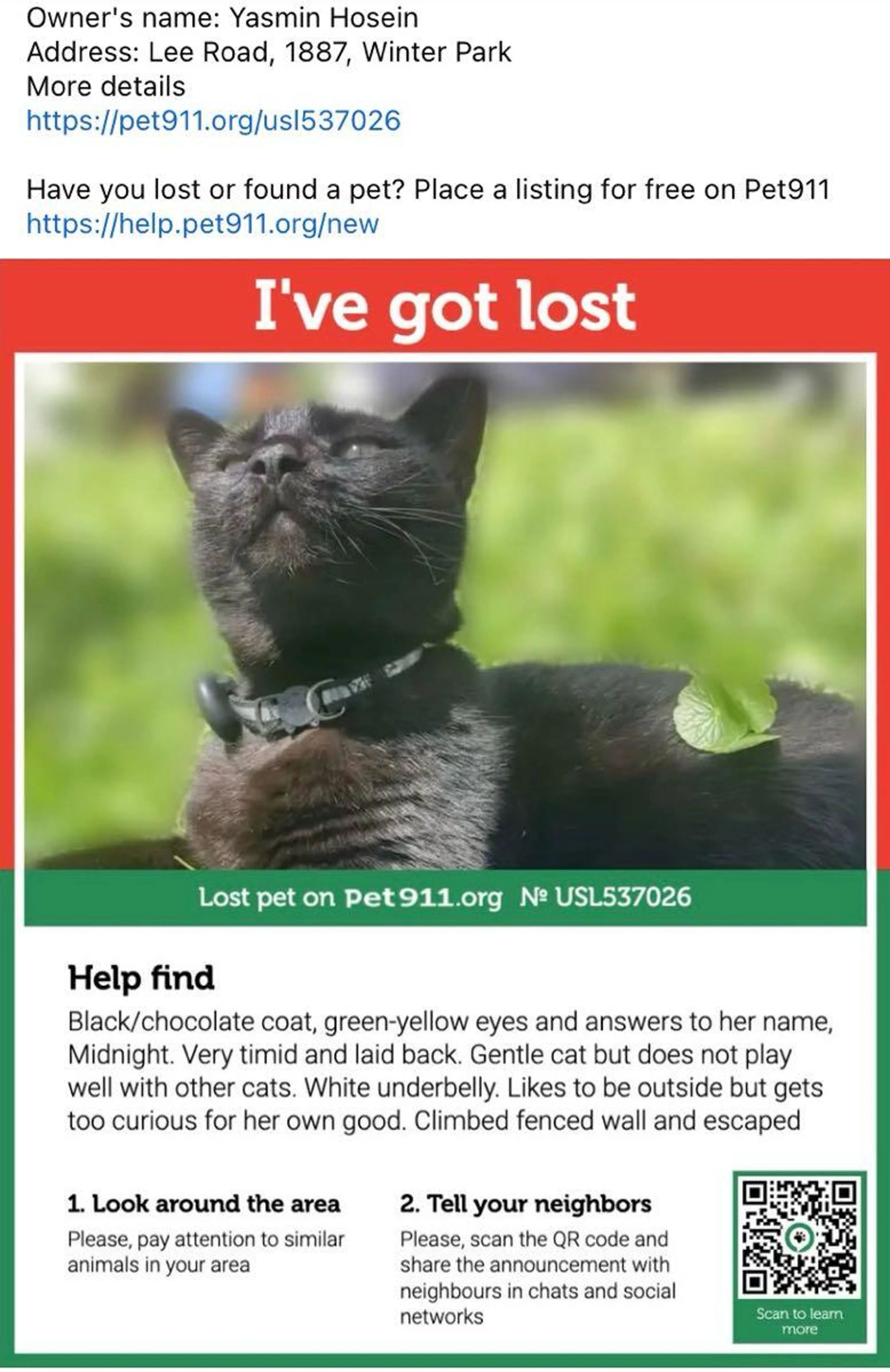 Lost pet