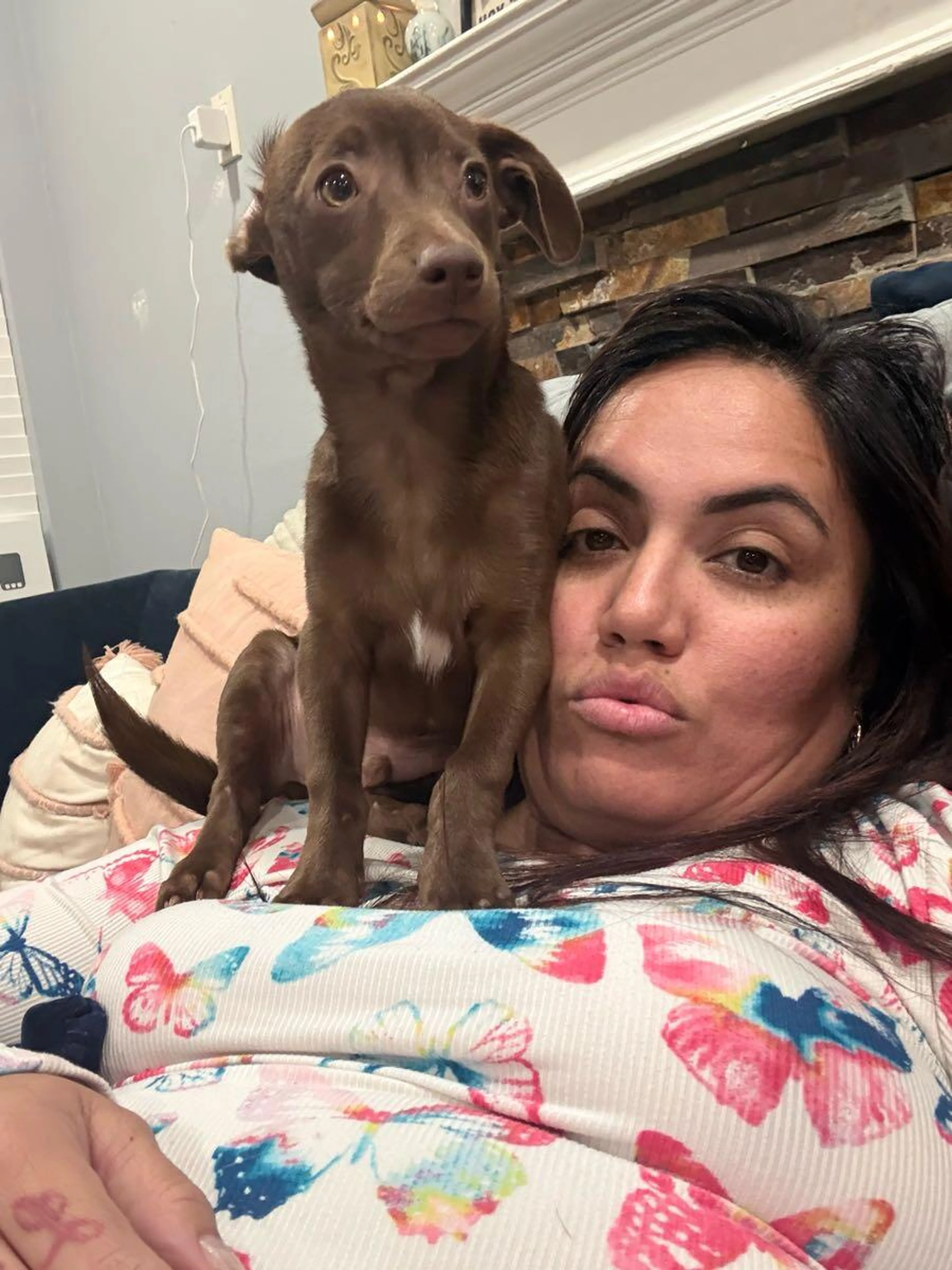 Lost pet