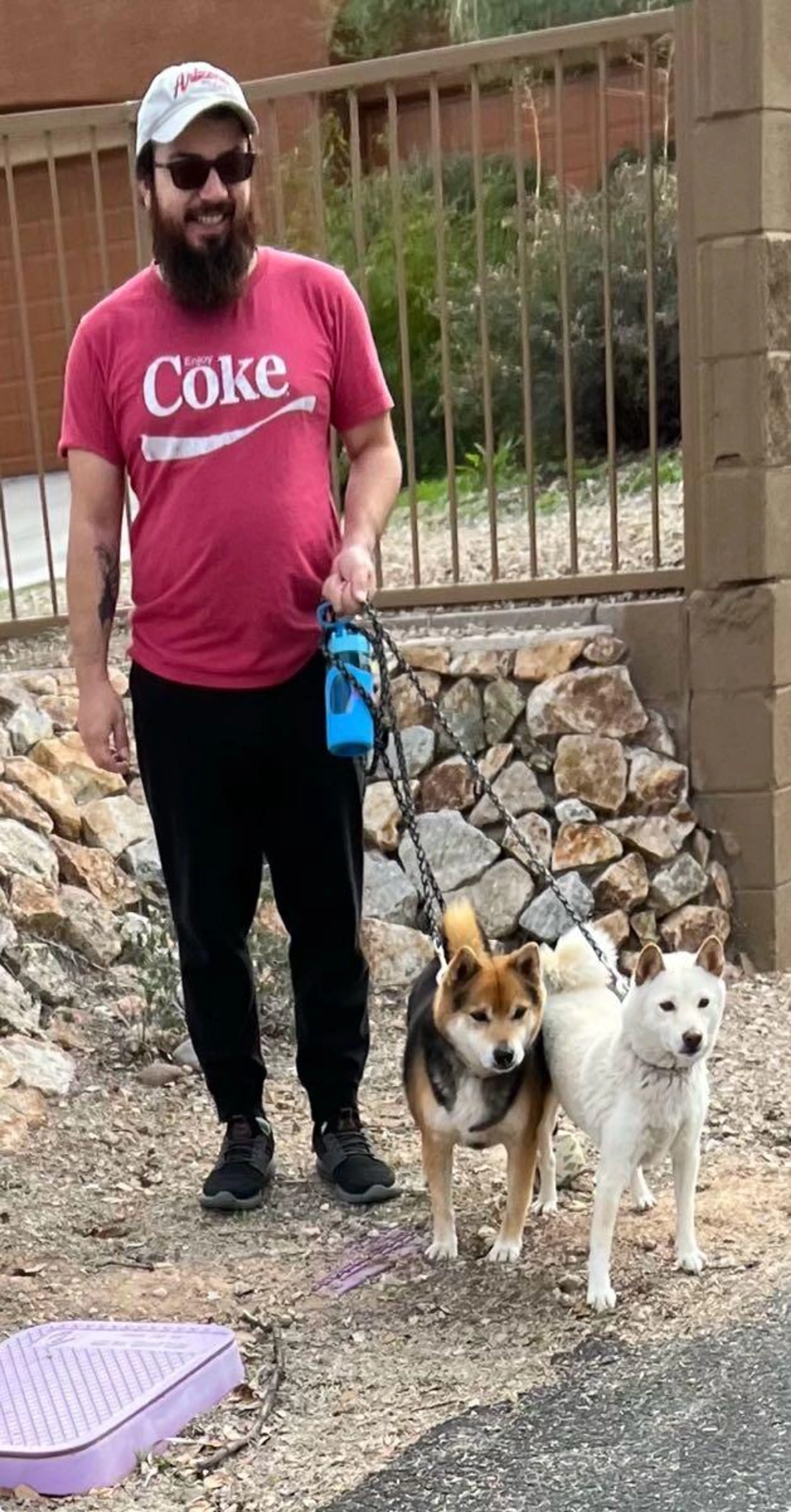 Found pet