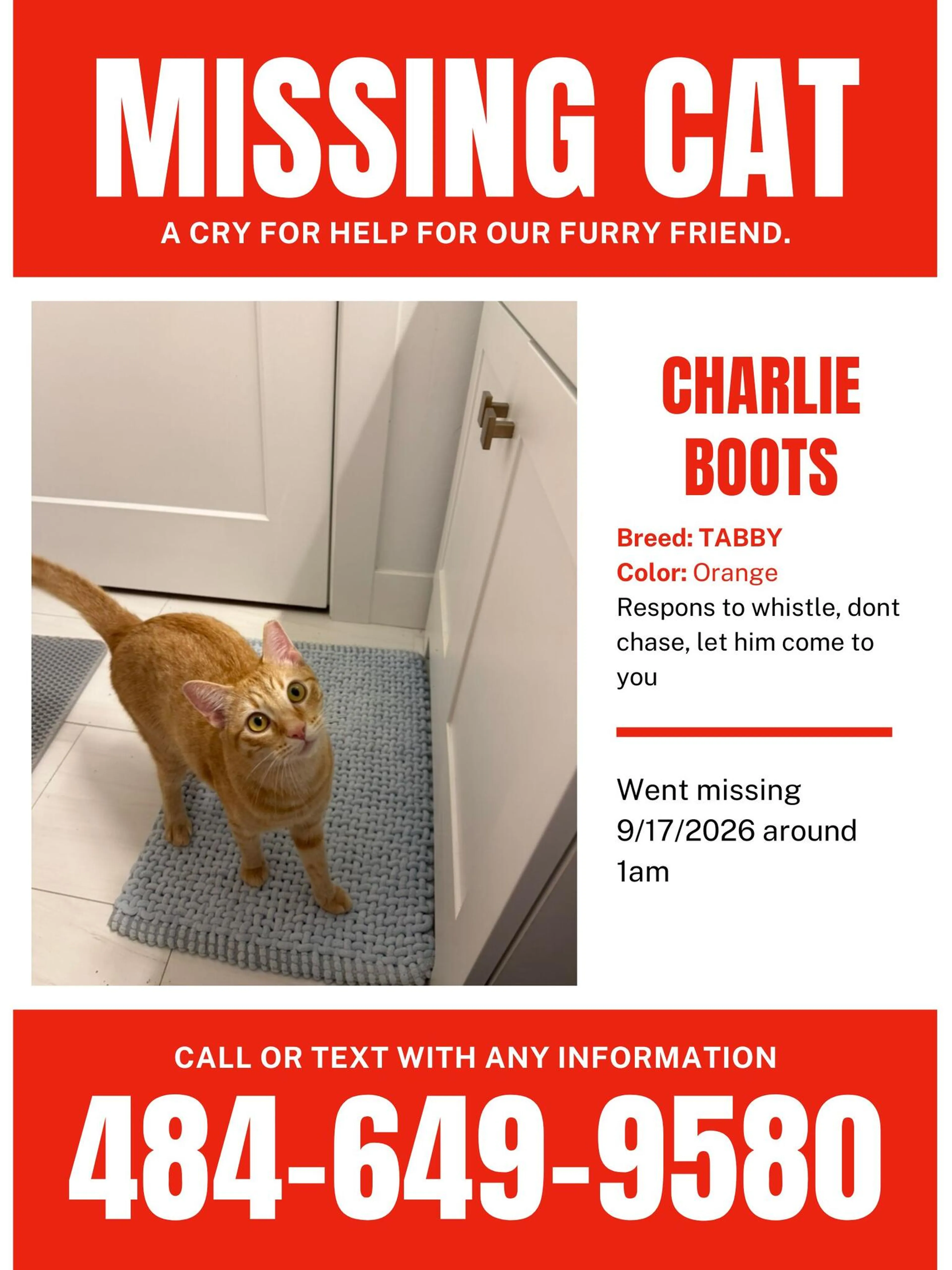cdn image