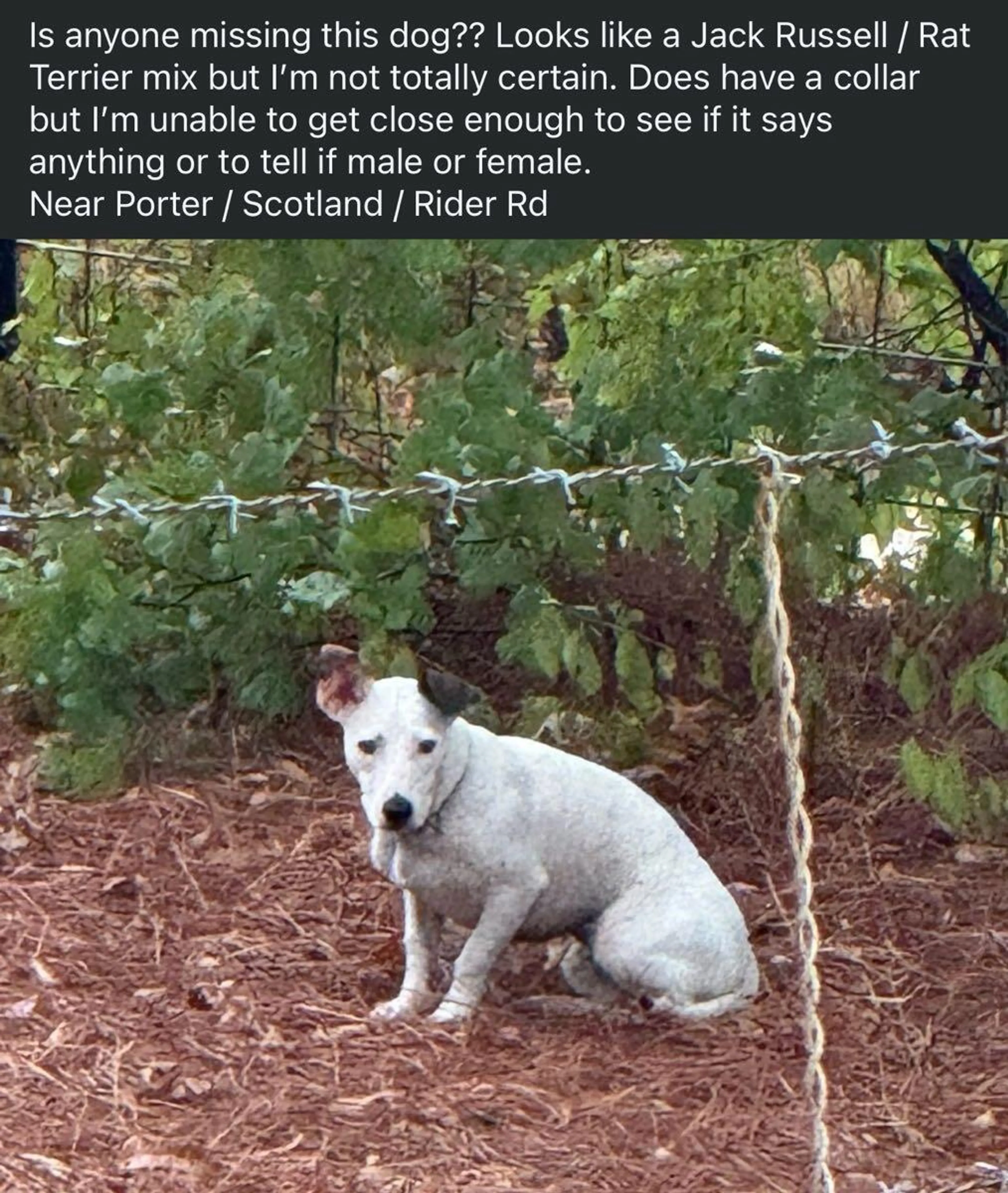 cdn image