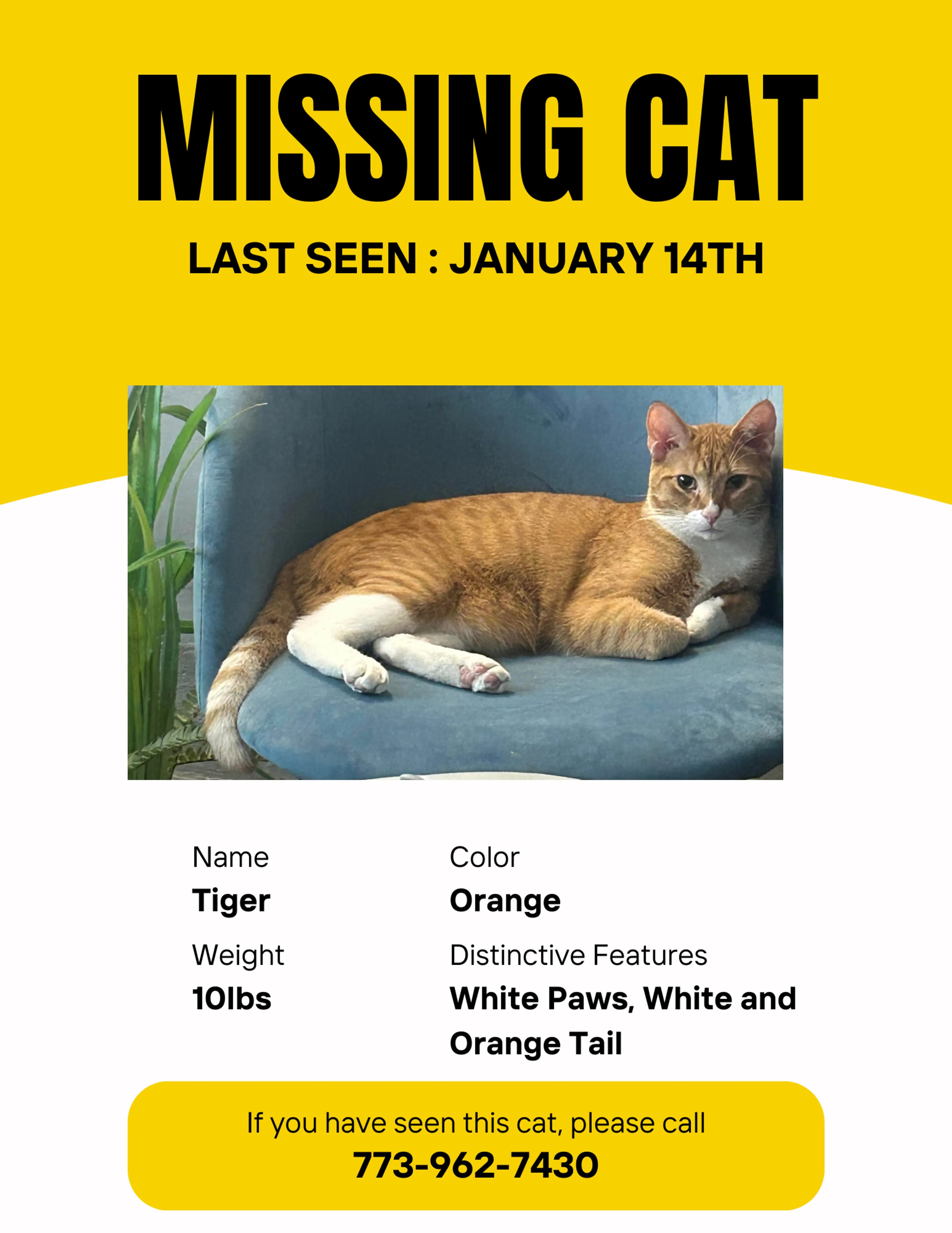 Lost pet