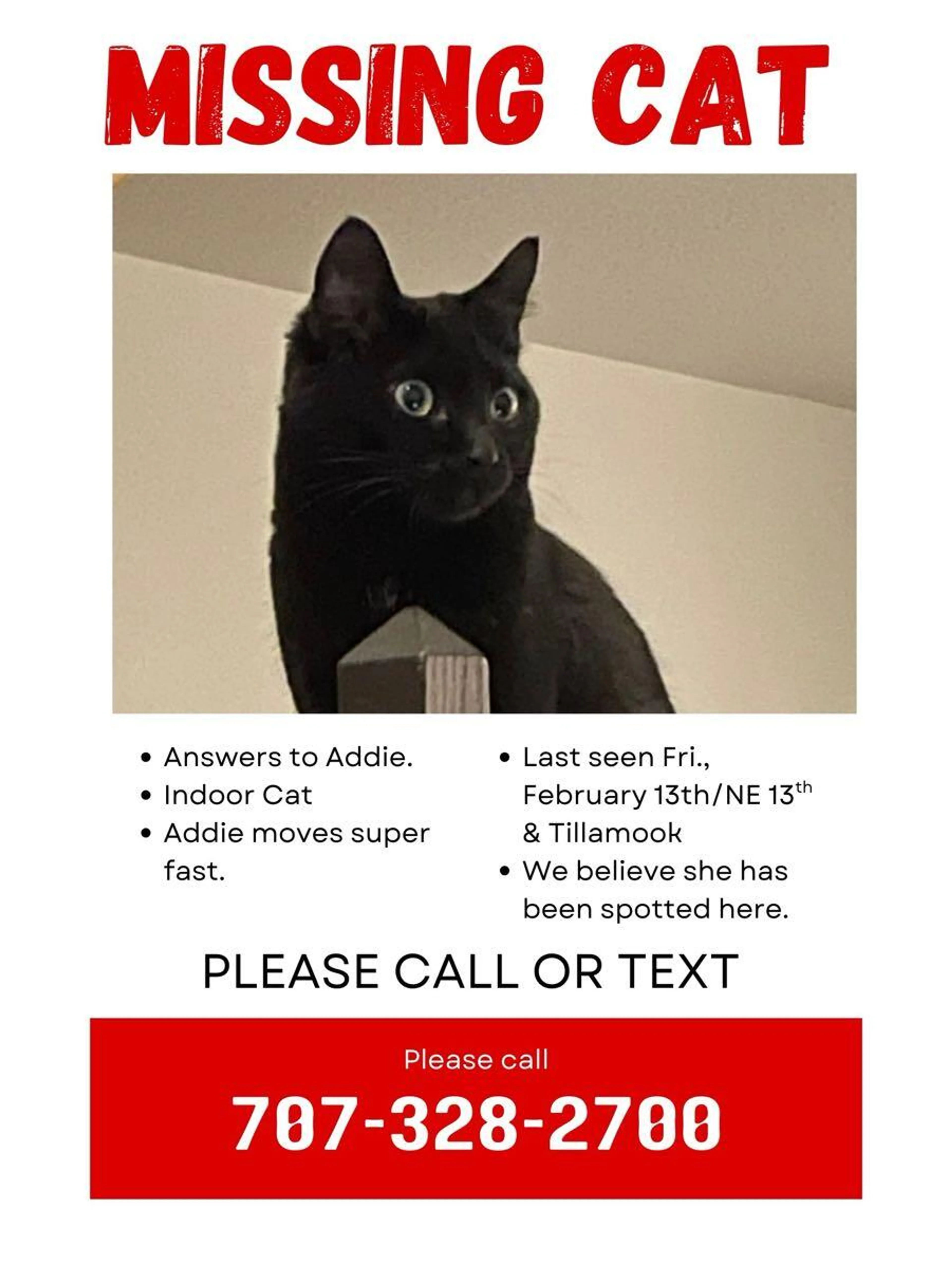 Lost pet
