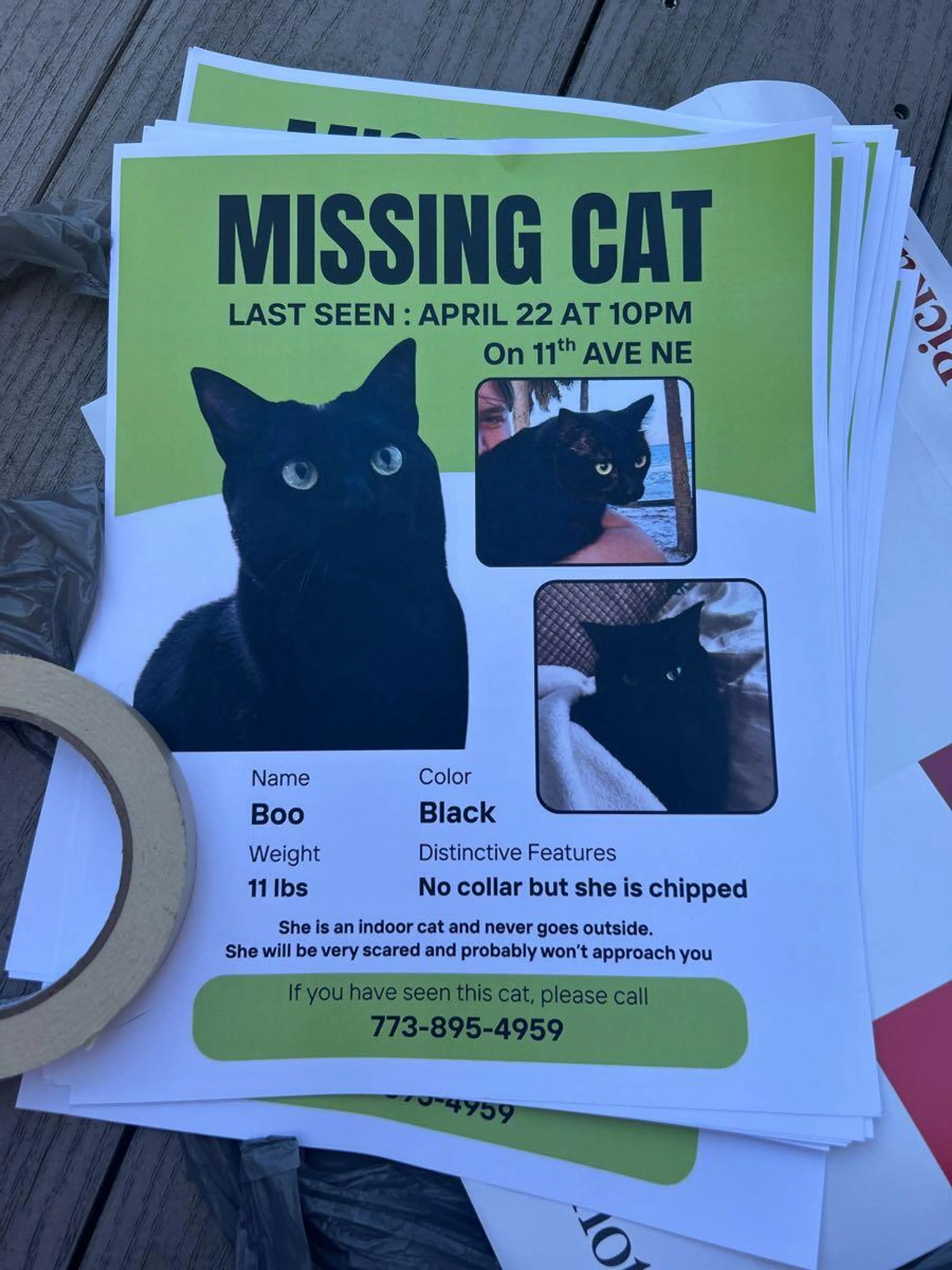 Lost pet