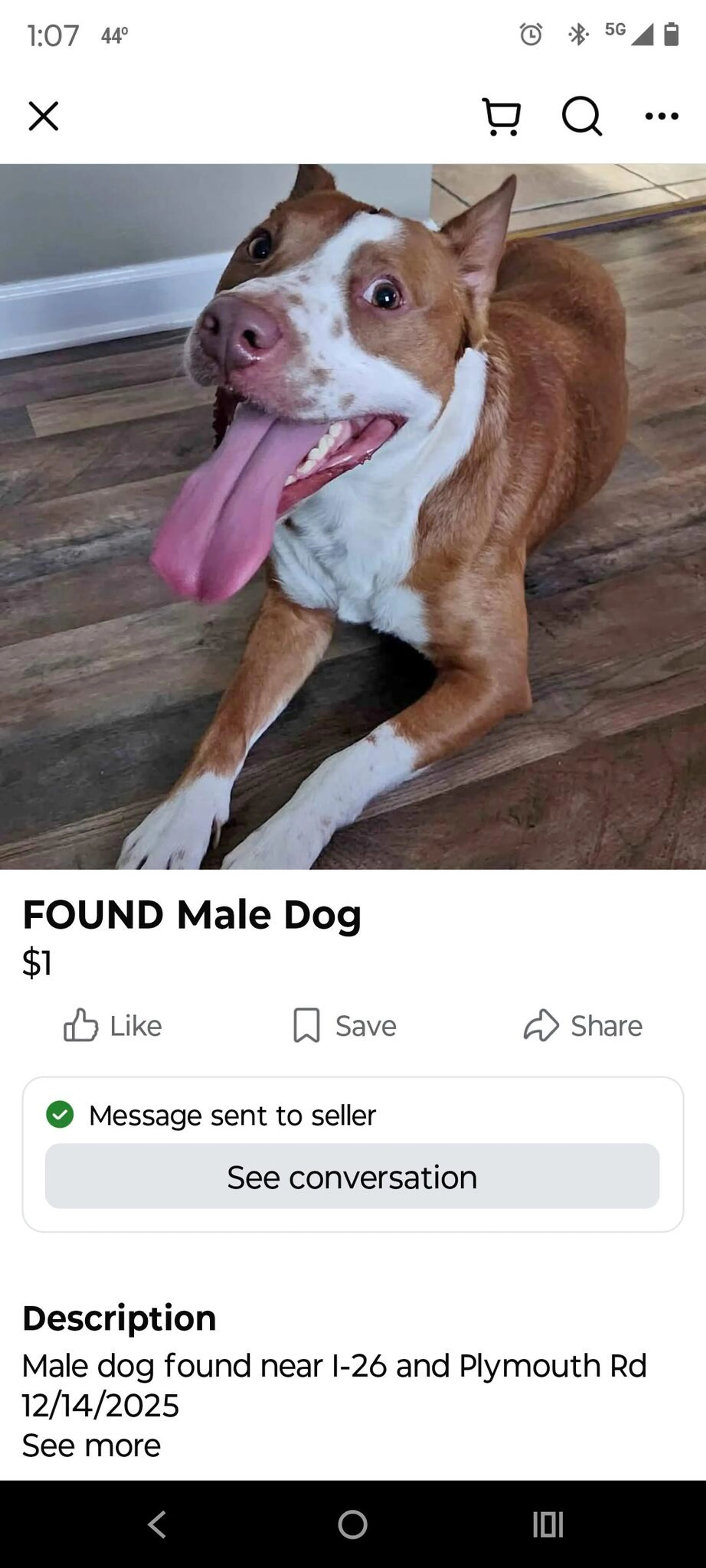 Found pet