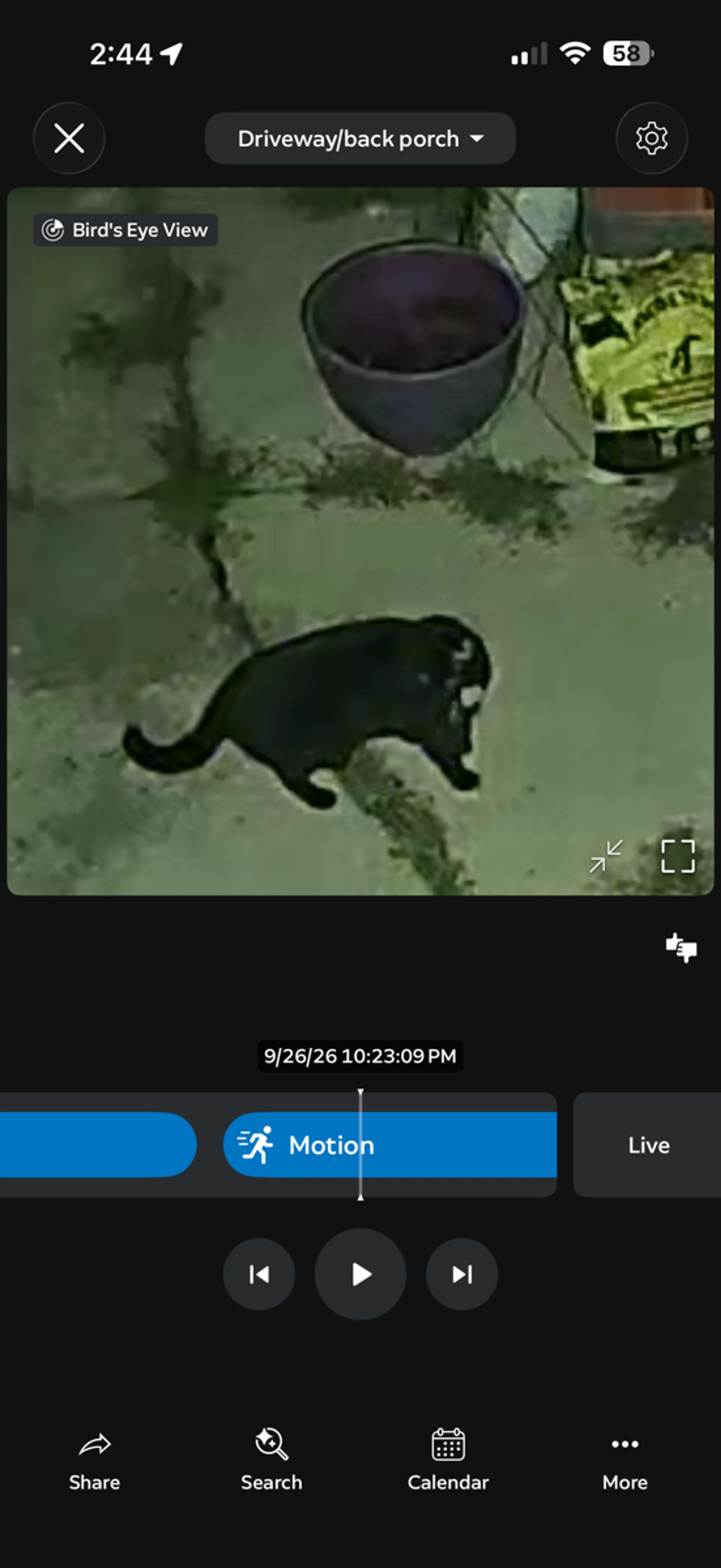 cdn image