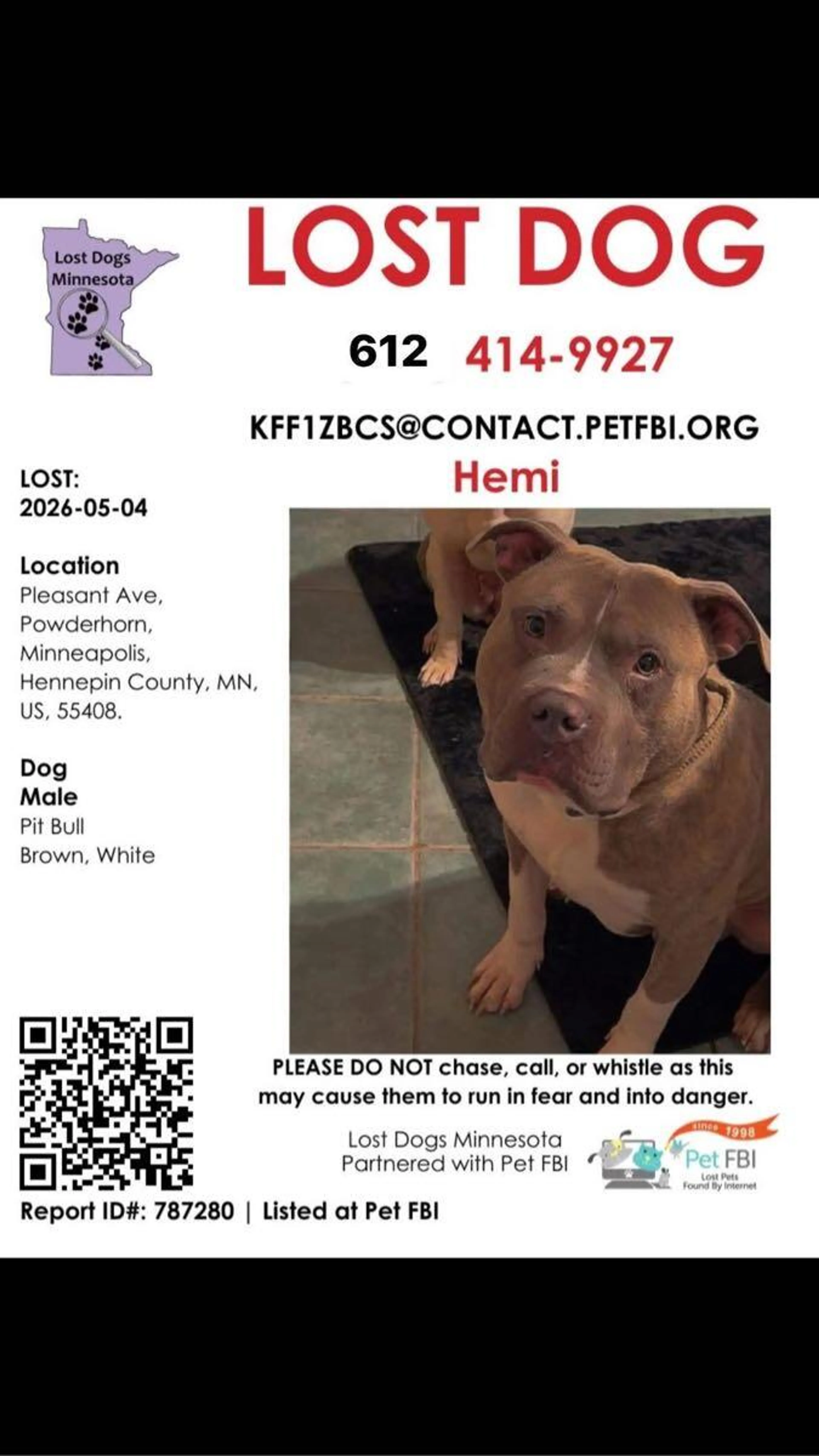 Lost pet