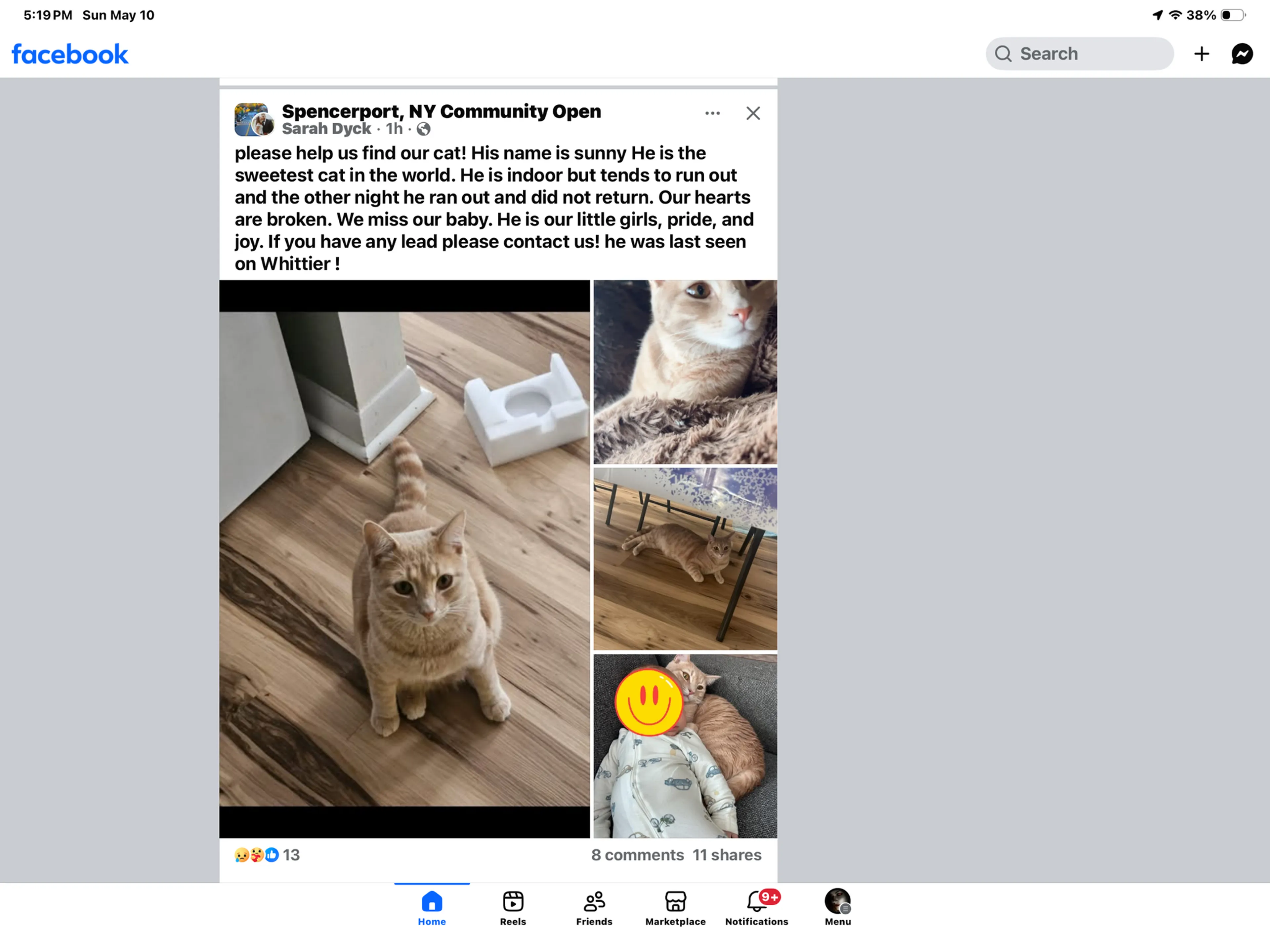 Lost pet